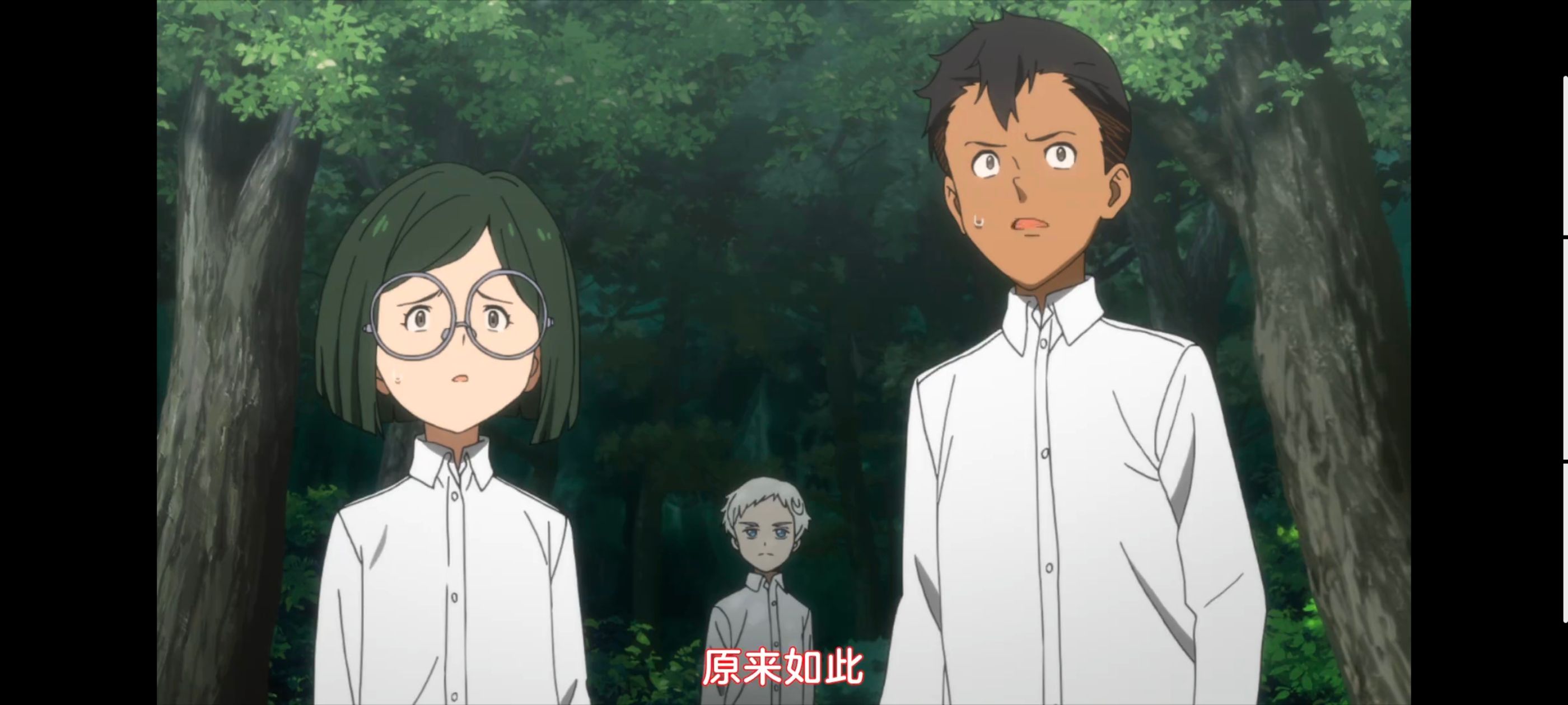 约定的梦幻岛,动画,动漫,番剧,ACG