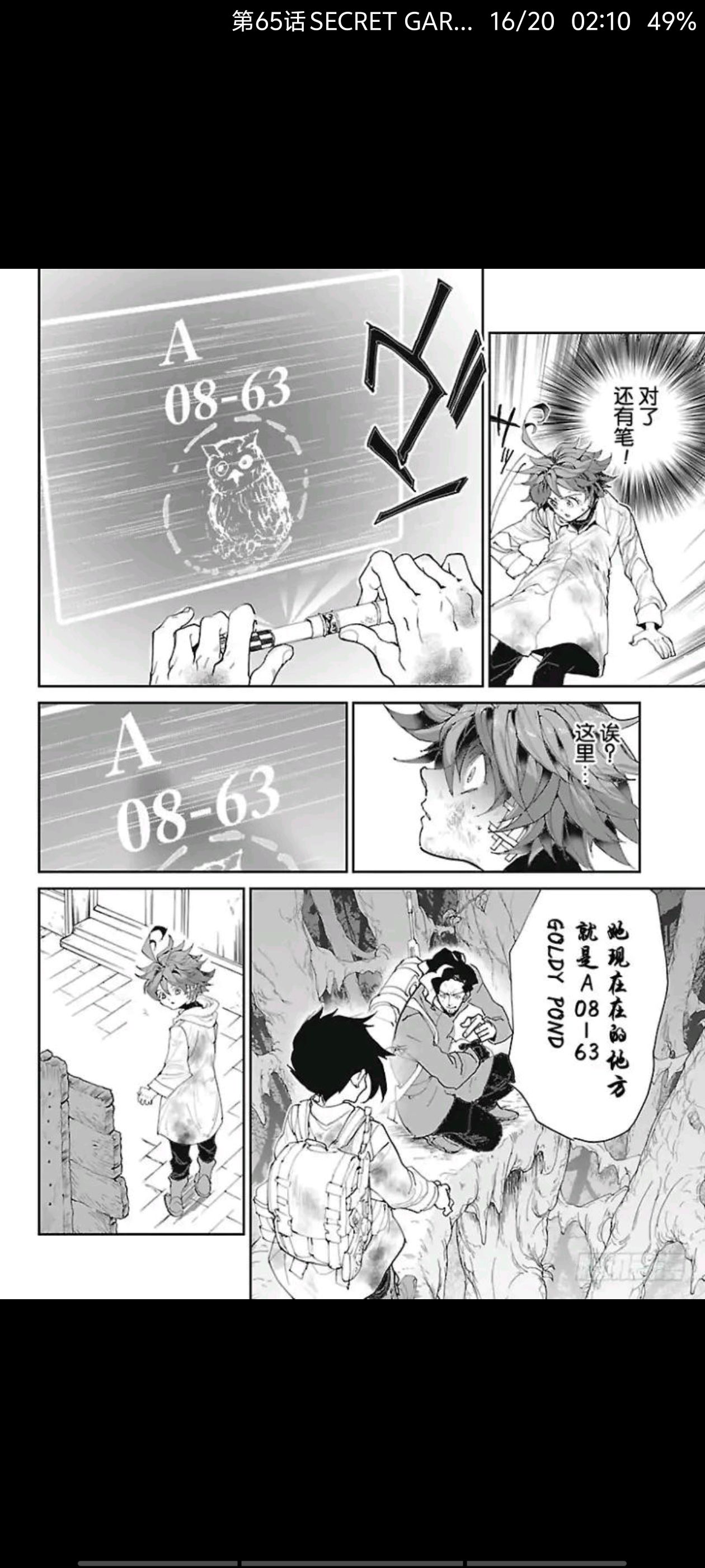 约定的梦幻岛,动漫,漫画,ACG