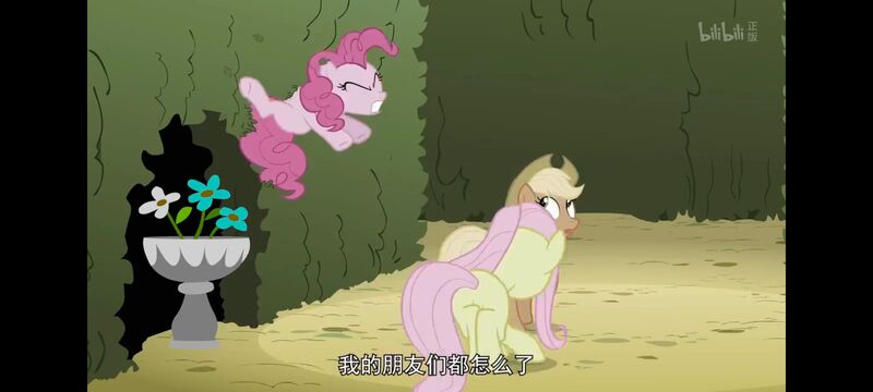 小马宝莉,小马宝莉友谊魔法,彩虹小马,我的小马驹,动画,动漫,番剧,ACG