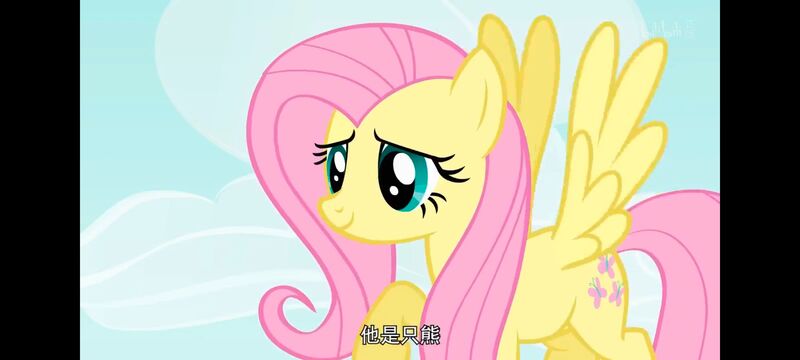 小马宝莉,小马宝莉友谊魔法,彩虹小马,我的小马驹,动画,动漫,番剧,ACG