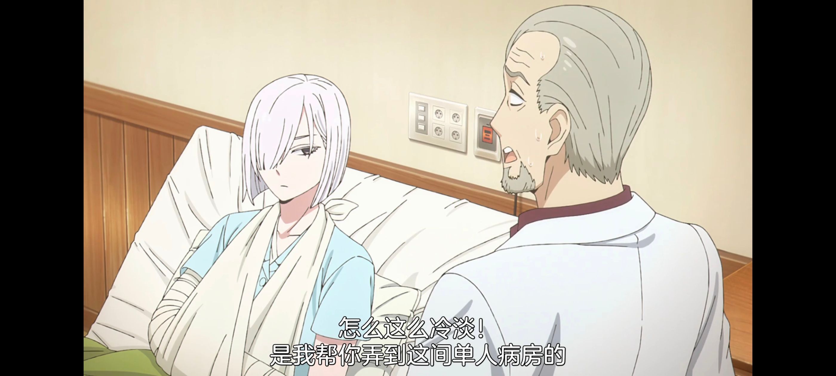 间谍过家家,SPYFAMILY,动画,动漫,番剧,ACG