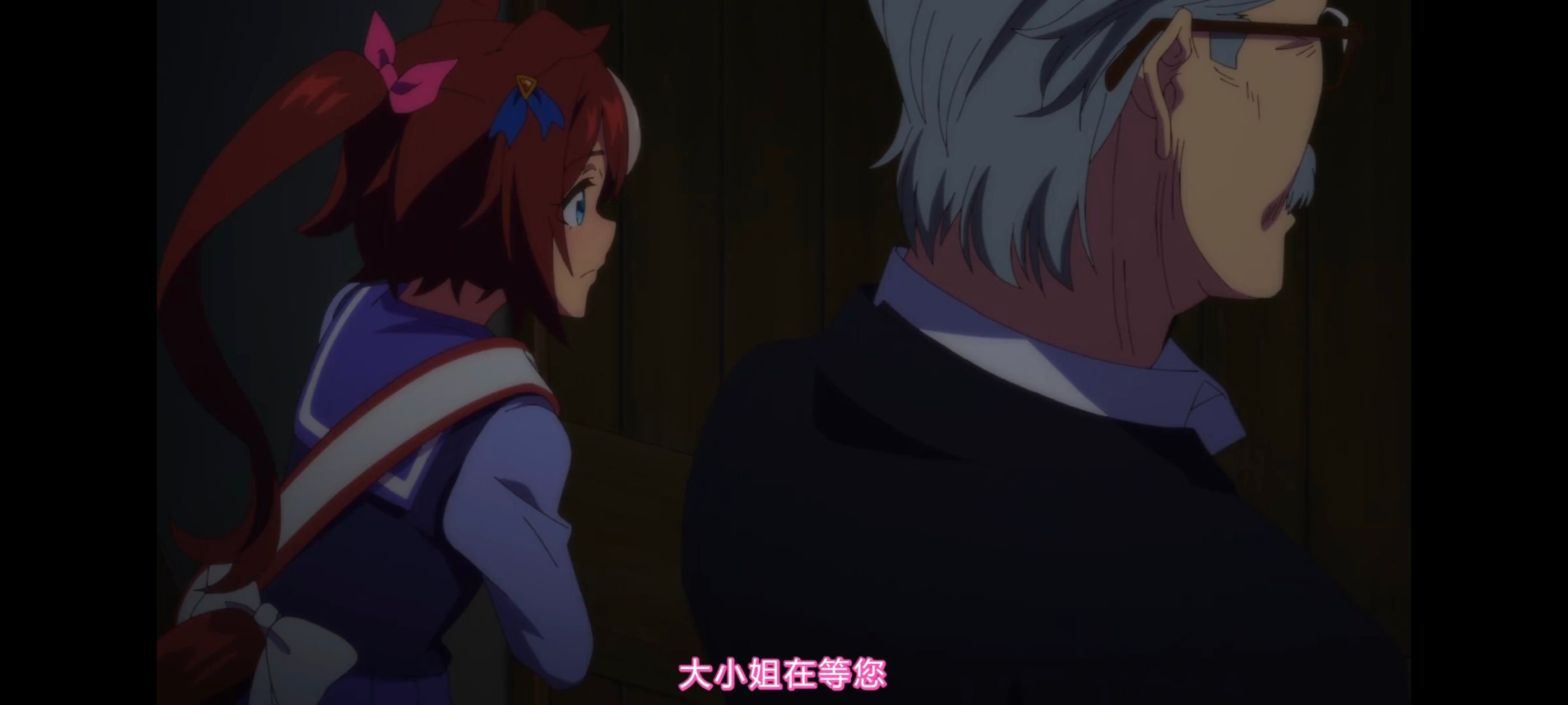 赛马娘,赛马娘PrettyDreby,动画,动漫,番剧,ACG