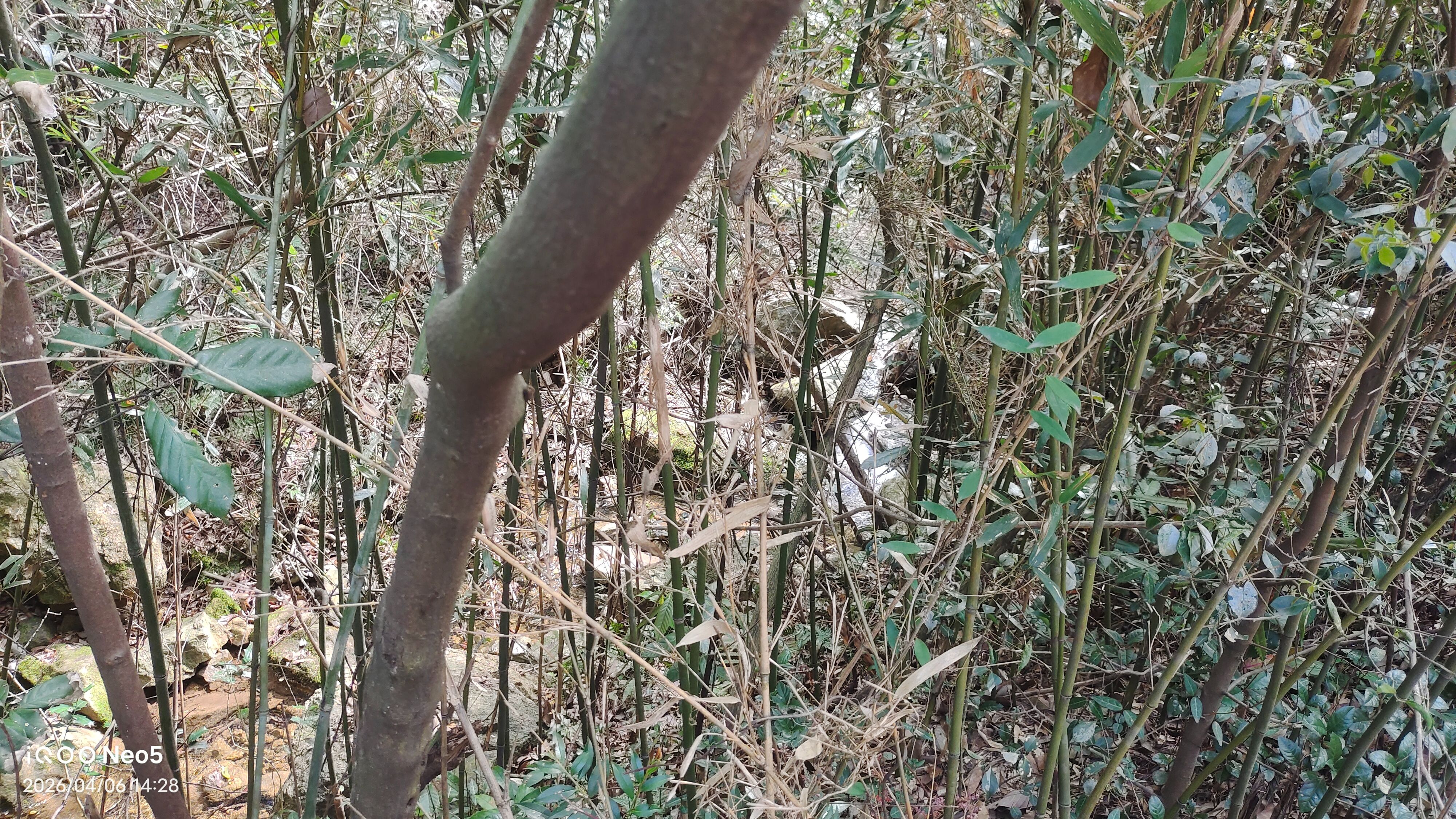 跑山,旅行,假期,生活,湖州