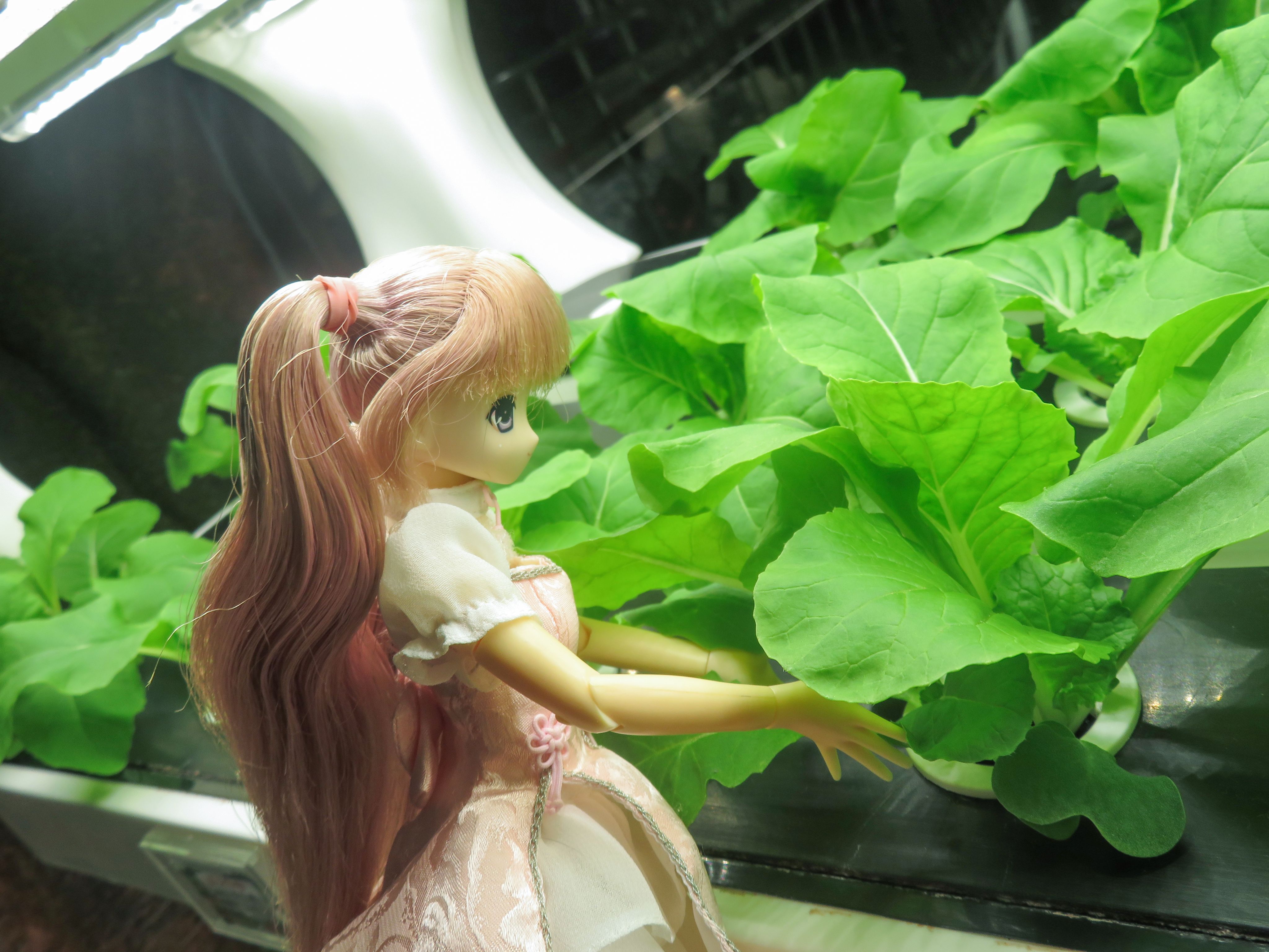 azone,摄影