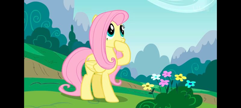 小马宝莉,小马宝莉友谊魔法,彩虹小马,我的小马驹,动画,动漫,番剧,ACG