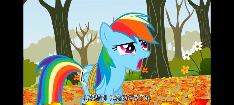 小马宝莉,小马宝莉友谊魔法,彩虹小马,我的小马驹,动画,动漫,番剧,ACG