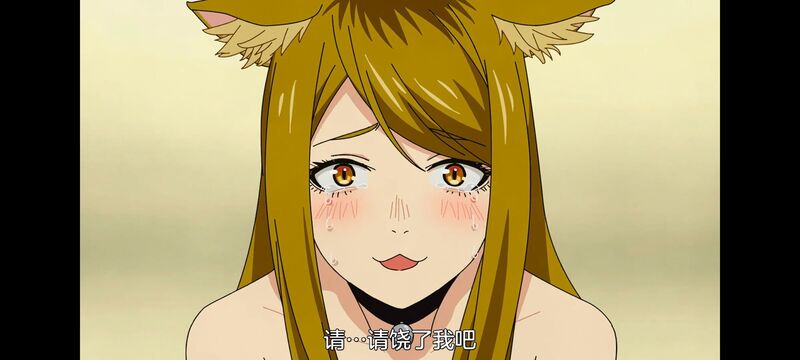 尼古喵喵,雅尼猫,动画,动漫,番剧,二次元,日漫,ACG
