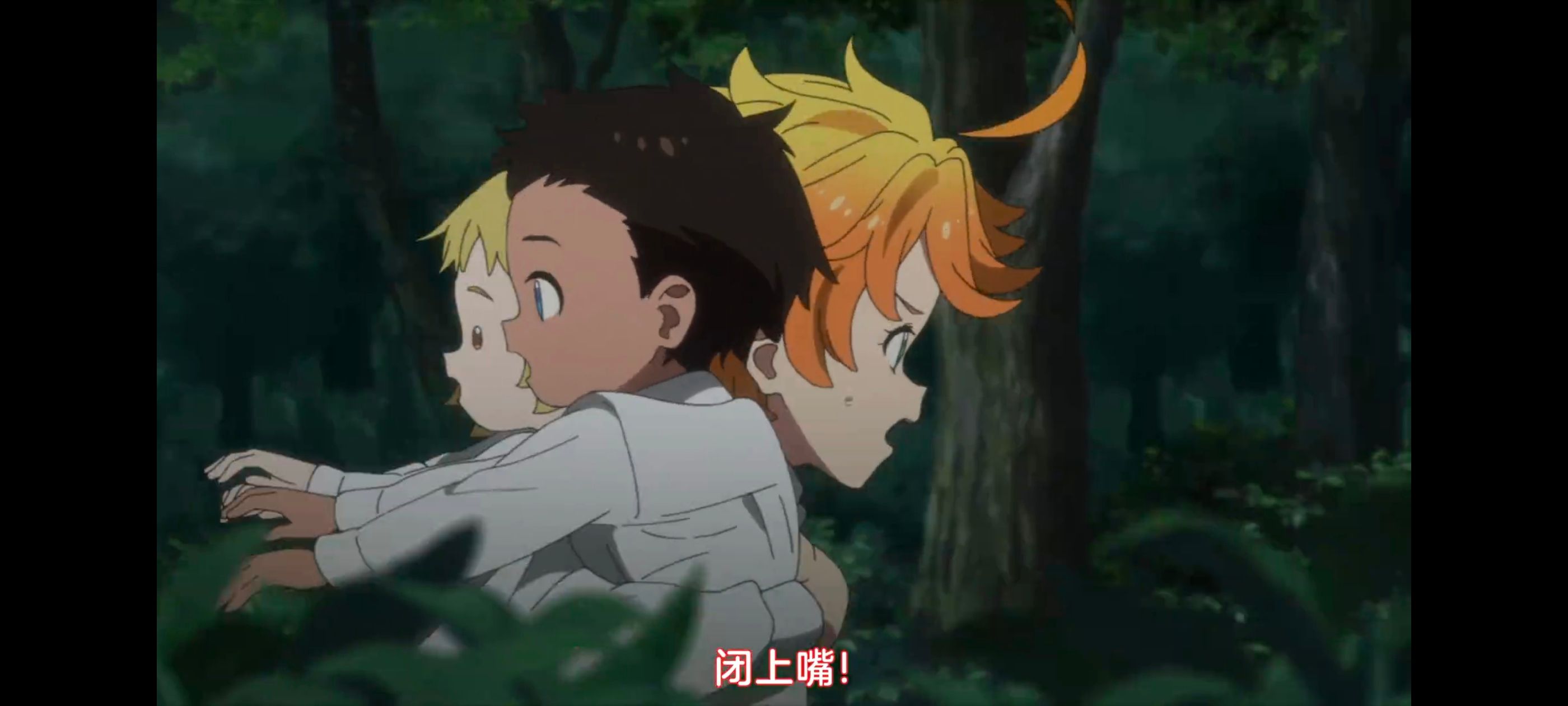 约定的梦幻岛,动画,动漫,番剧,ACG