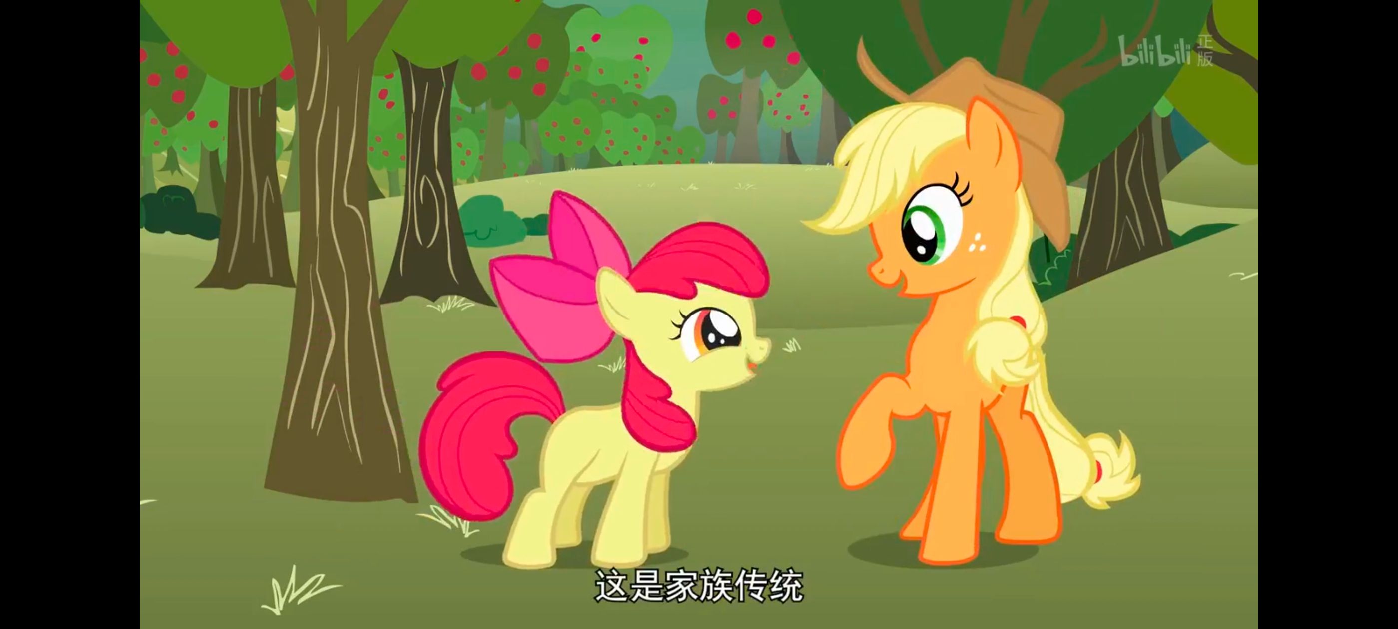 小马宝莉,小马宝莉友谊魔法,彩虹小马,我的小马驹,动画,动漫,番剧,ACG