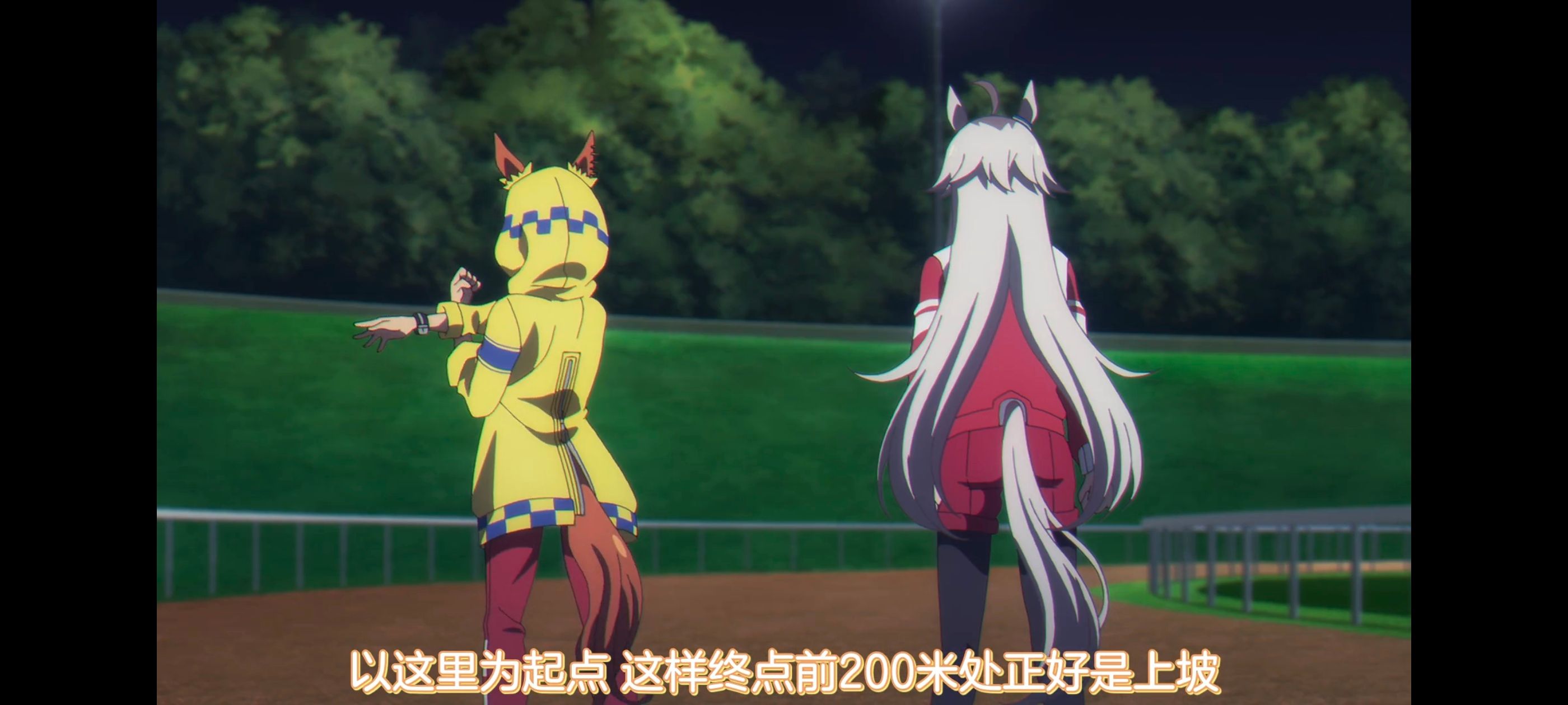 赛马娘,赛马娘PrettyDreby,芦毛灰姑娘,赛马娘芦毛灰姑娘,动画,动漫,番剧,ACG