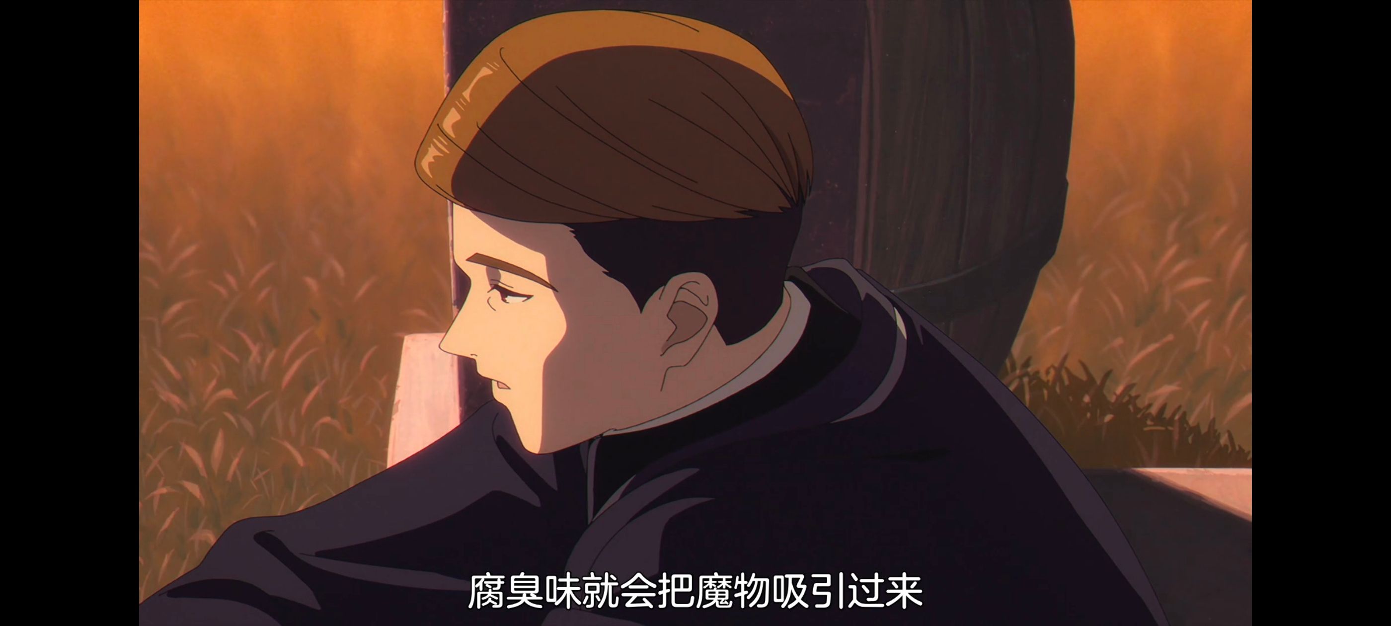 葬送的芙莉莲,动画,动漫,番剧,二次元,ACG