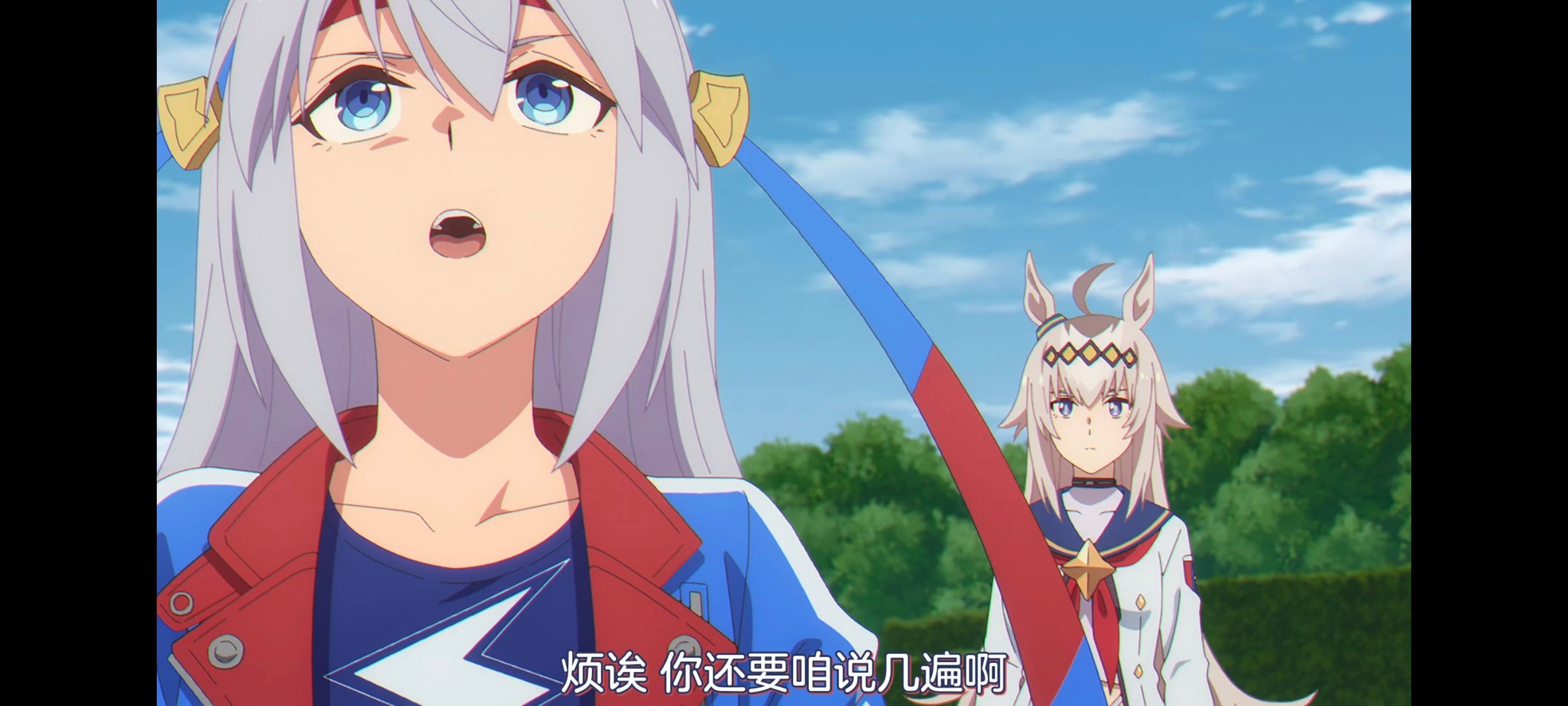 赛马娘,赛马娘PrettyDreby,赛马娘芦毛灰姑娘,芦毛灰姑娘,动画,动漫,番剧,ACG