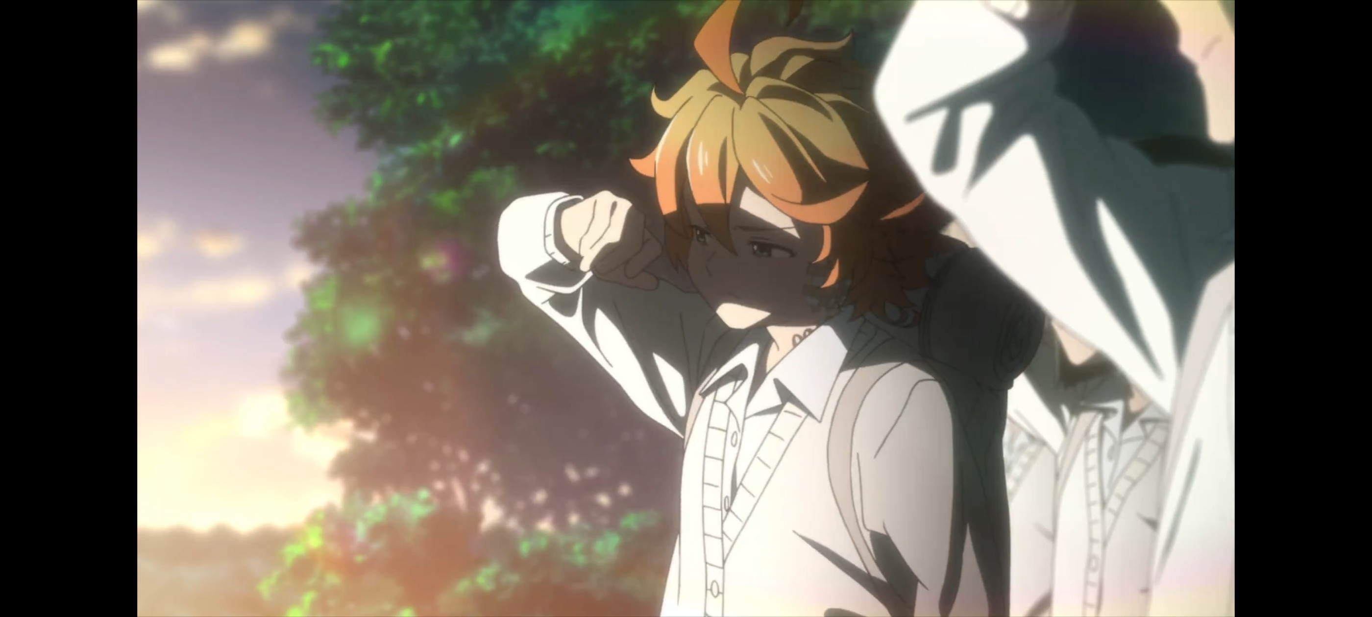 约定的梦幻岛,动画,动漫,番剧,二次元,ACG