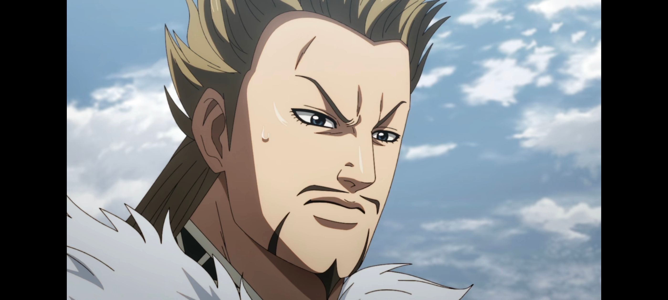 王者天下,动画,动漫,番剧,ACG