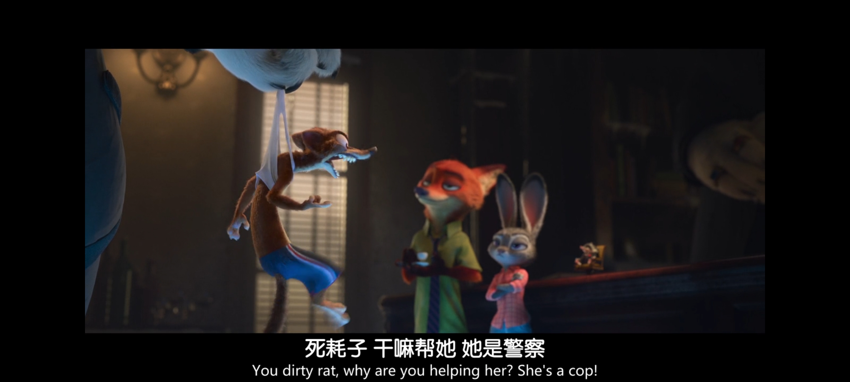 疯狂动物城,动画电影,动漫,动画,电影,二次元,ACG