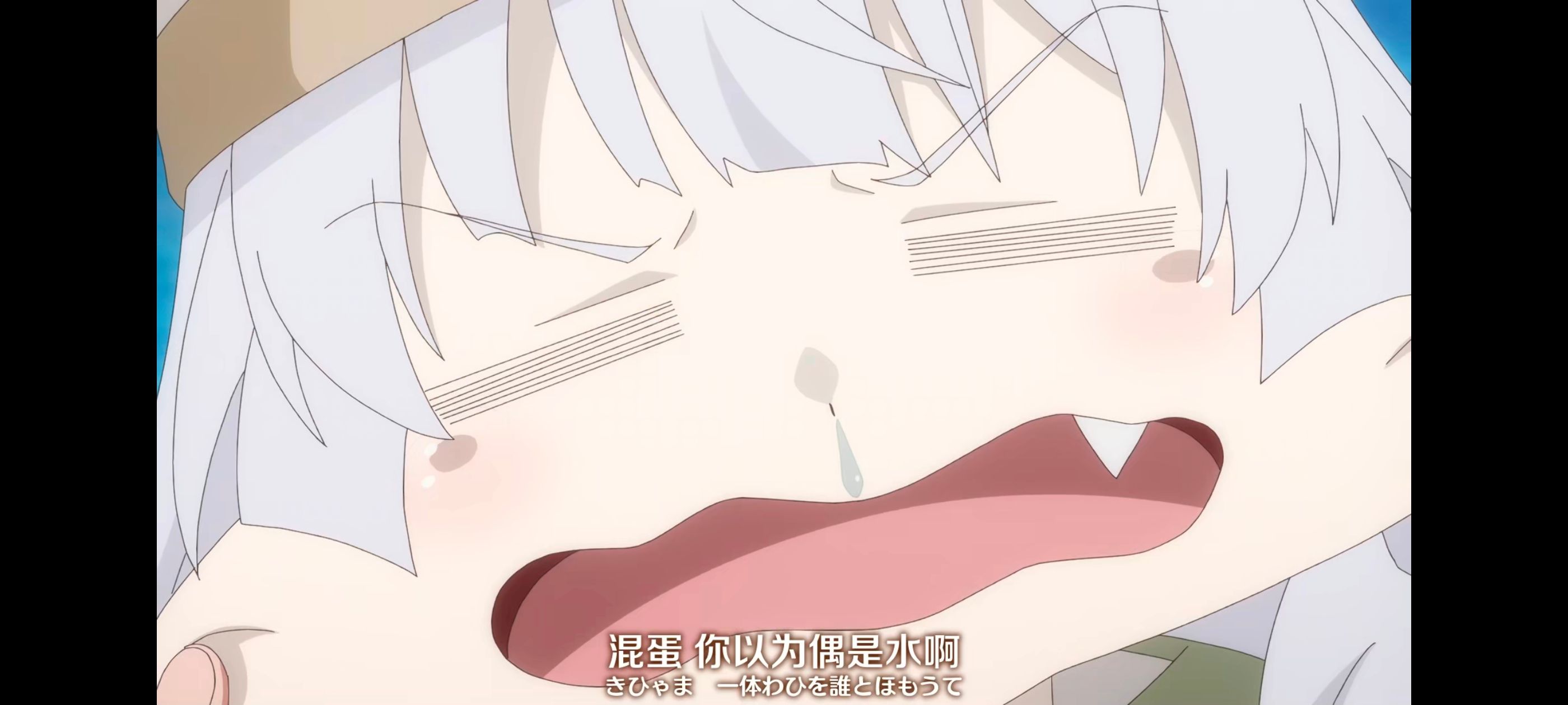 直至魔女消逝,直到某魔女死去,奇幻,动漫,动画,番剧,ACG