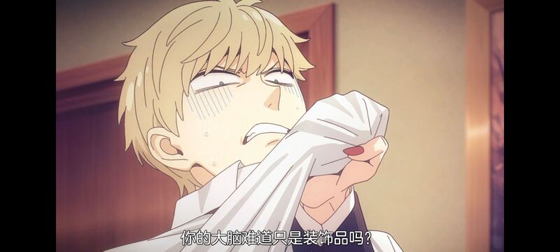 间谍过家家,SPYFAMILY,动漫,动画,番剧,ACG