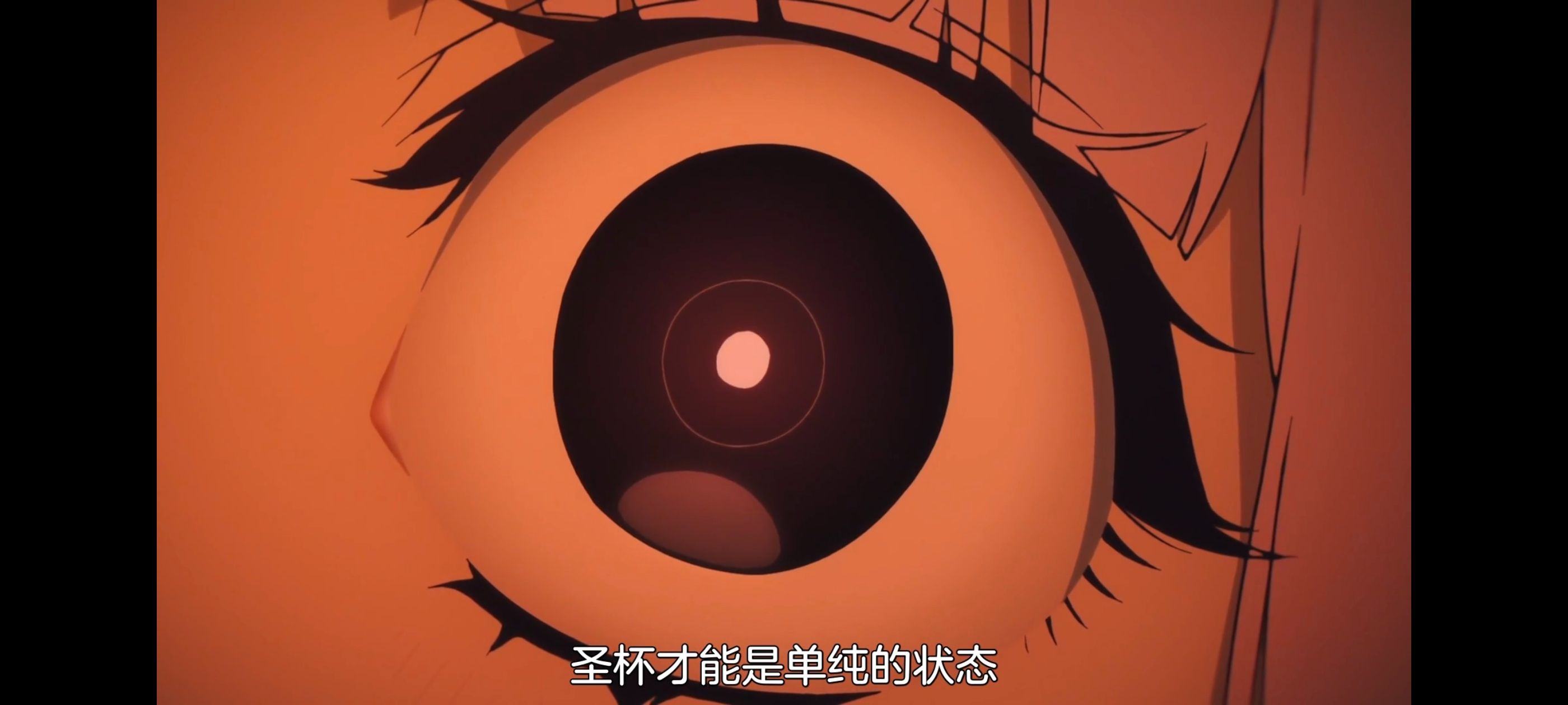 命运奇异赝品,FatestrangeFake,动画,动漫,番剧,ACG