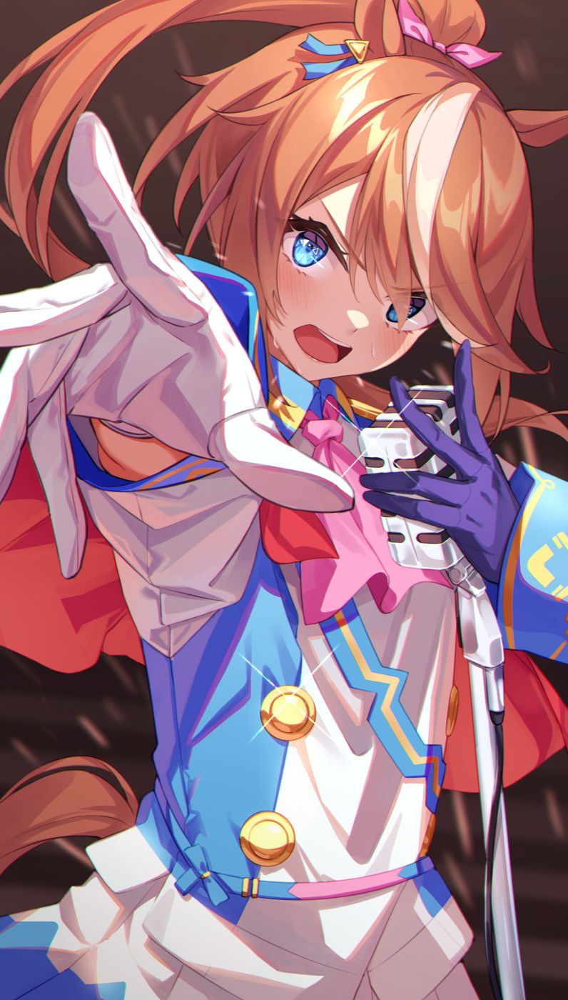 赛马娘,马娘,东海帝王,动漫壁纸,动漫美图,美图,壁纸,绘画,插画,PIXIV,画师推荐,二次元美图,二次元壁纸