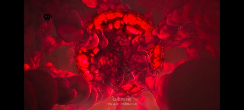 鬼灭之刃,鬼滅之刃,剧场版,鬼灭之刃无限城篇,动画,动漫,动画电影,日漫,ACG,二次元
