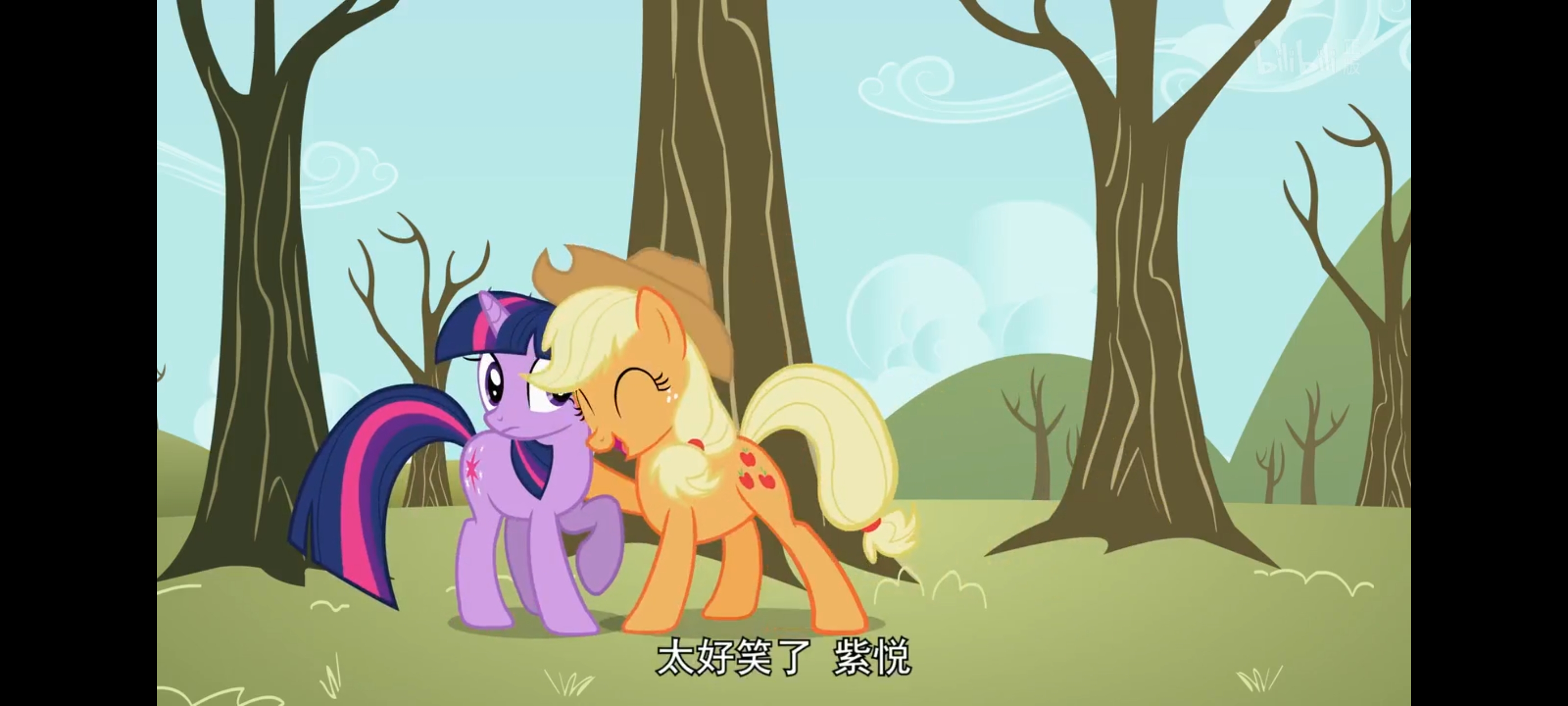 小马宝莉,彩虹小马,我的小马驹,动画,动漫,番剧,二次元,ACG