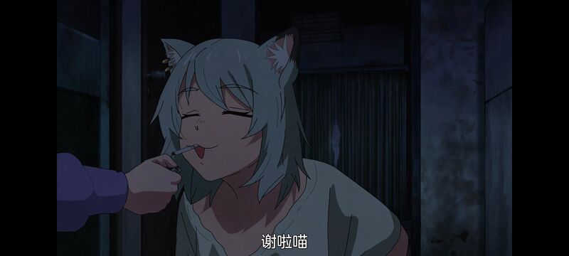 尼古喵喵,雅尼猫,动画,动漫,番剧,日漫,二次元,ACG