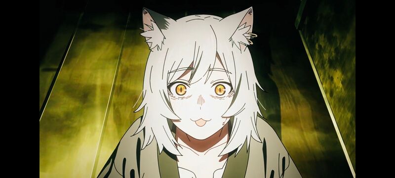 雅尼猫,尼古喵喵,动画,动漫,番剧,二次元,日漫,ACG
