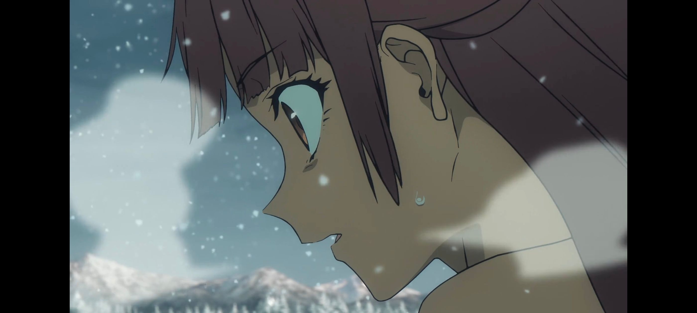 命运奇异赝品,FatestrangeFake,动画,动漫,番剧,ACG