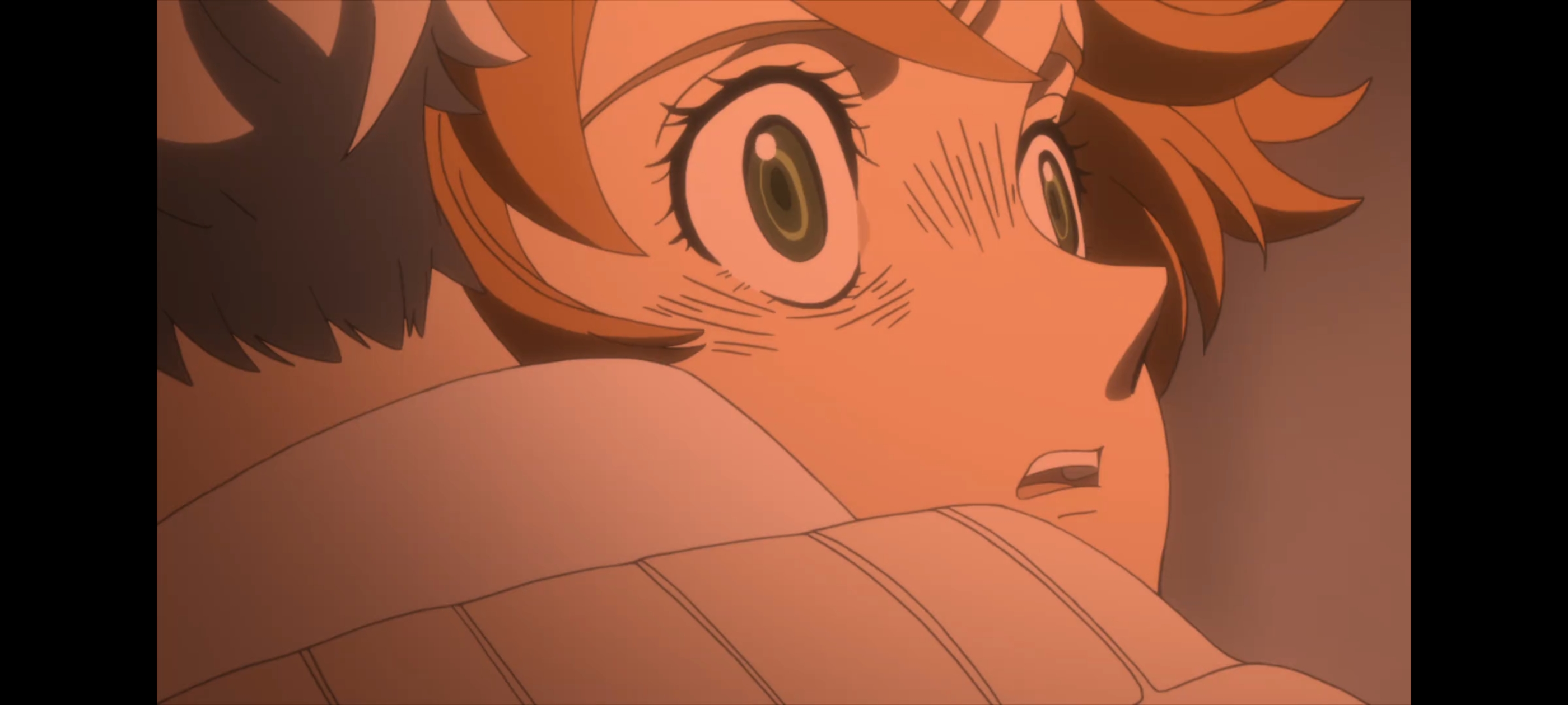 约定的梦幻岛,动画,动漫,番剧,二次元,ACG