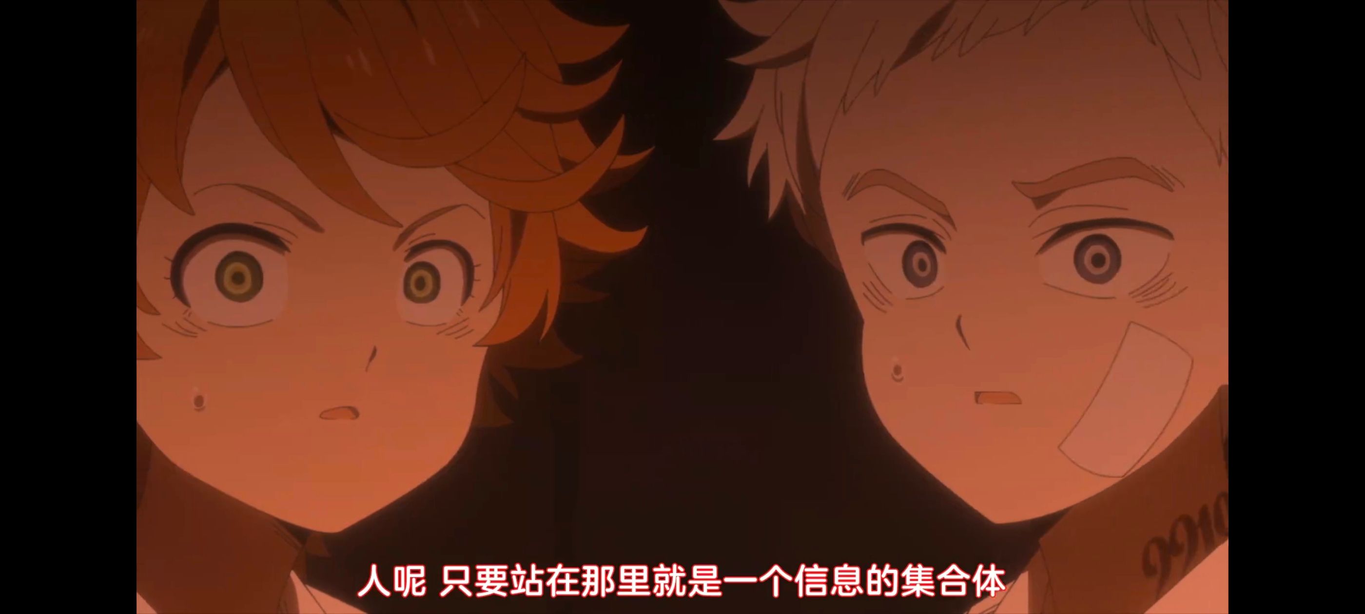 约定的梦幻岛,动画,动漫,番剧,二次元,ACG