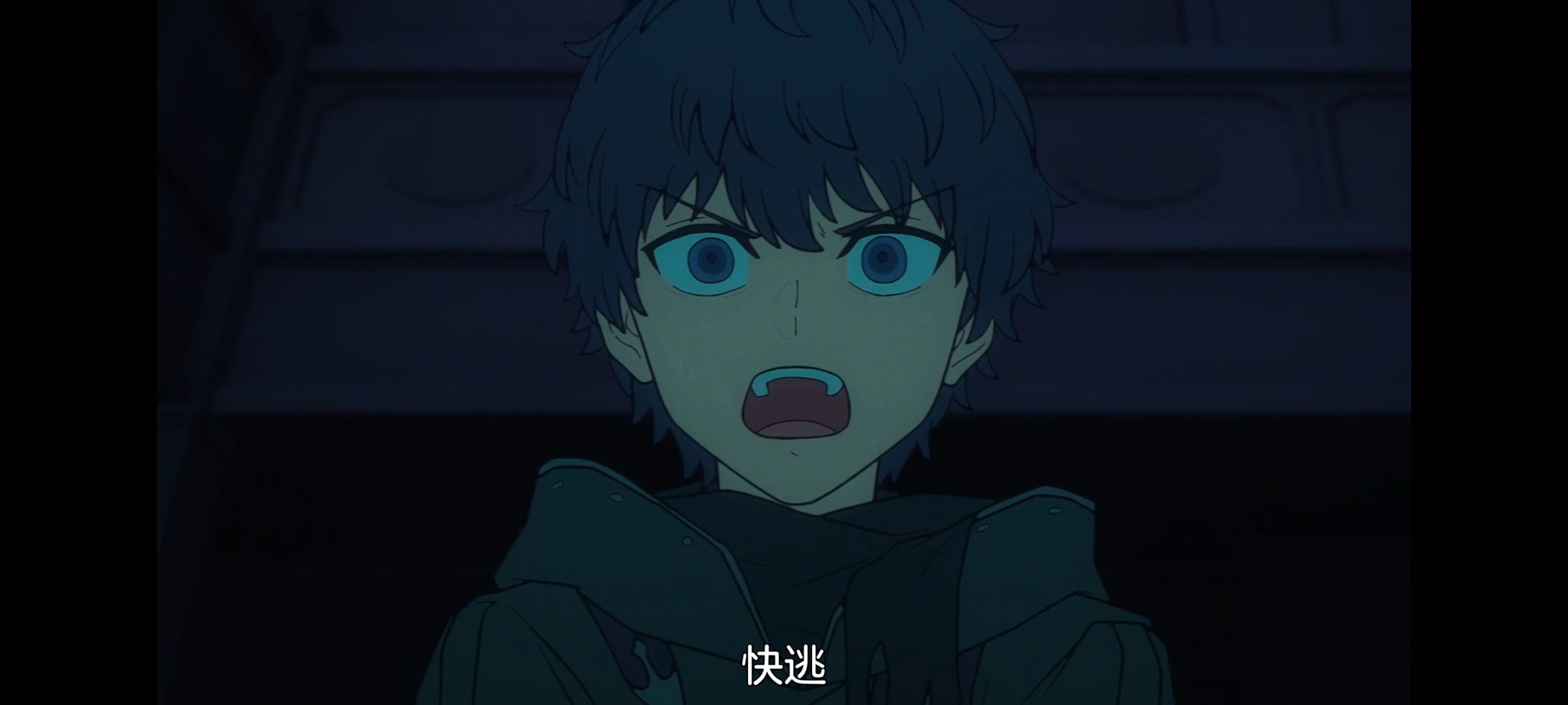 命运奇异赝品,FatestrangeFake,动画,动漫,番剧,ACG