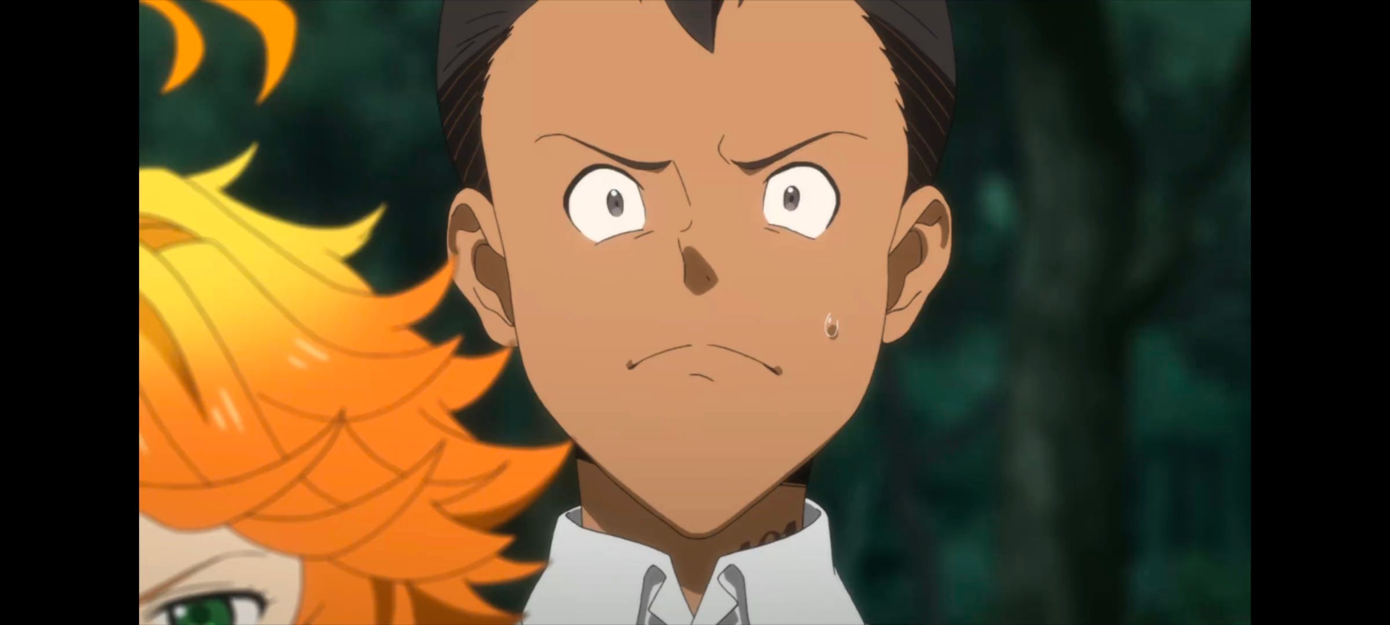 约定的梦幻岛,动画,动漫,番剧,二次元,ACG