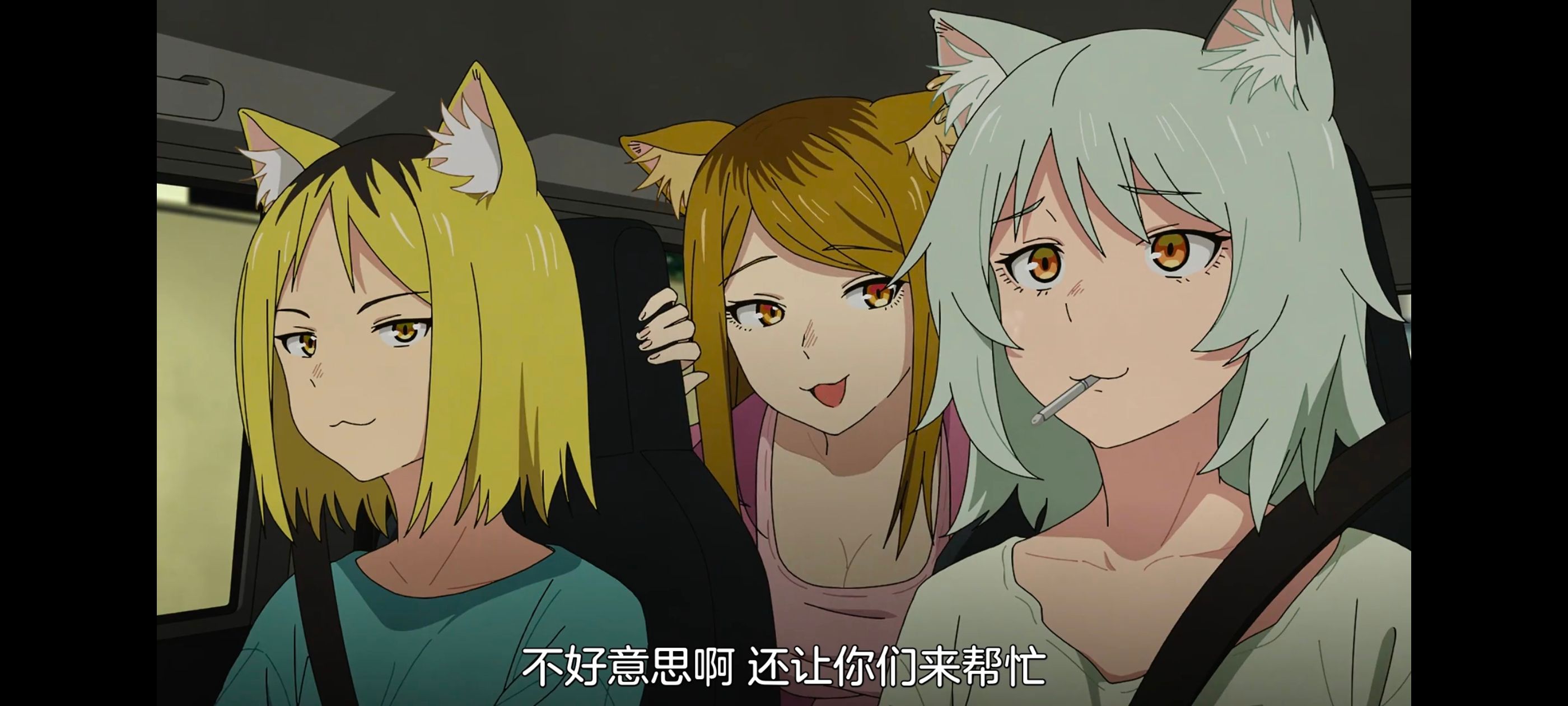 雅尼猫,尼古喵喵,动画,动漫,番剧,日漫,二次元,ACG