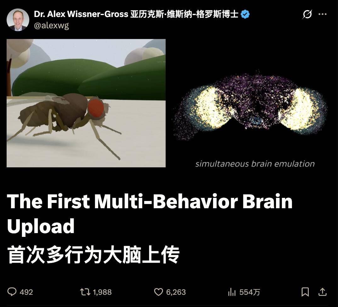 果蝇,电脑,科幻,科技