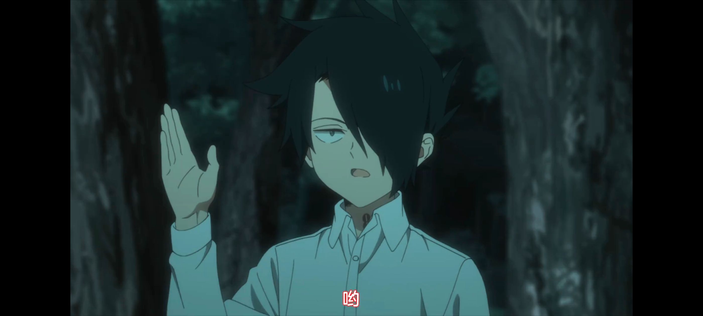 约定的梦幻岛,动画,动漫,番剧,ACG