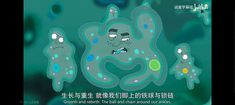 瑞克和莫蒂,瑞克与莫蒂,美漫,动画,动漫,番剧,ACG,欧美动漫