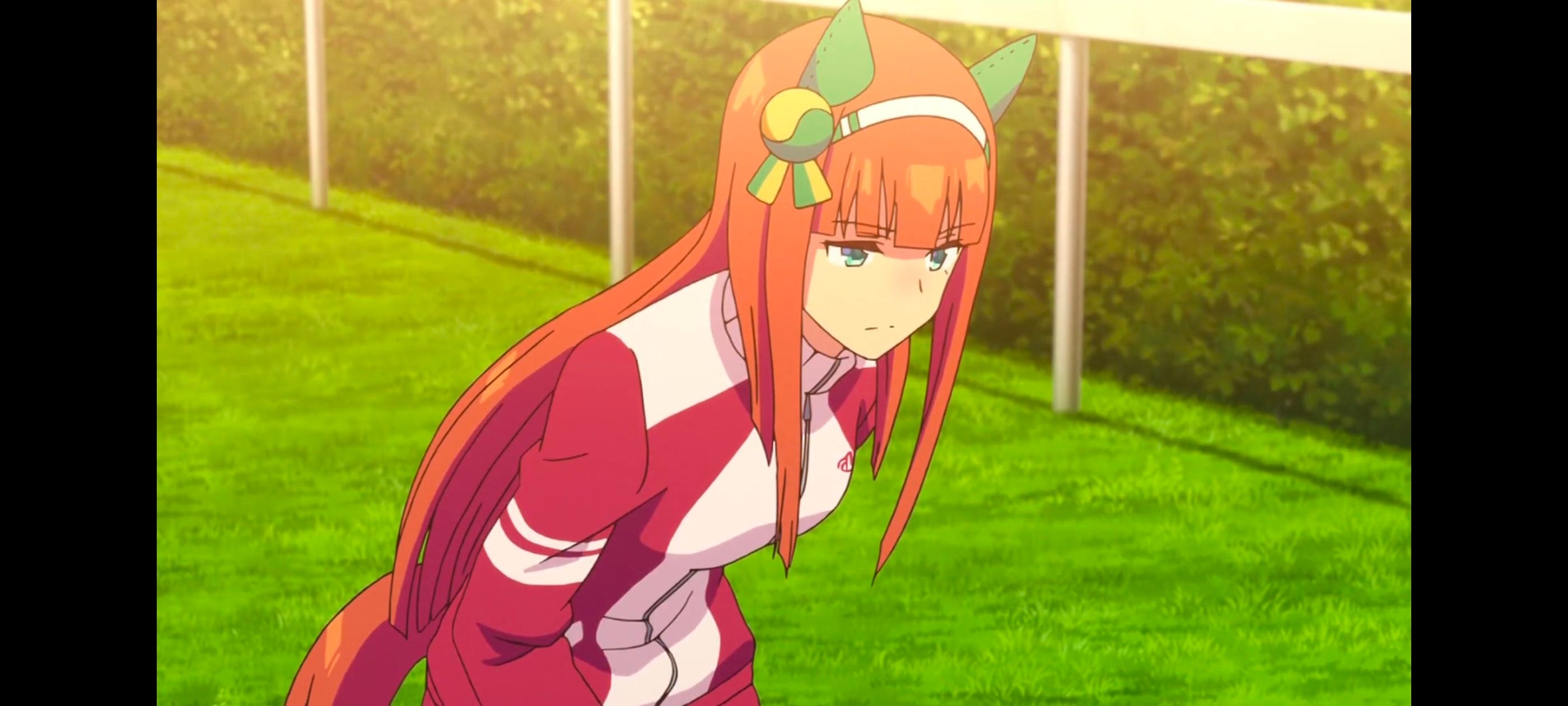 赛马娘,赛马娘PrettyDreby,动画,动漫,番剧,ACG