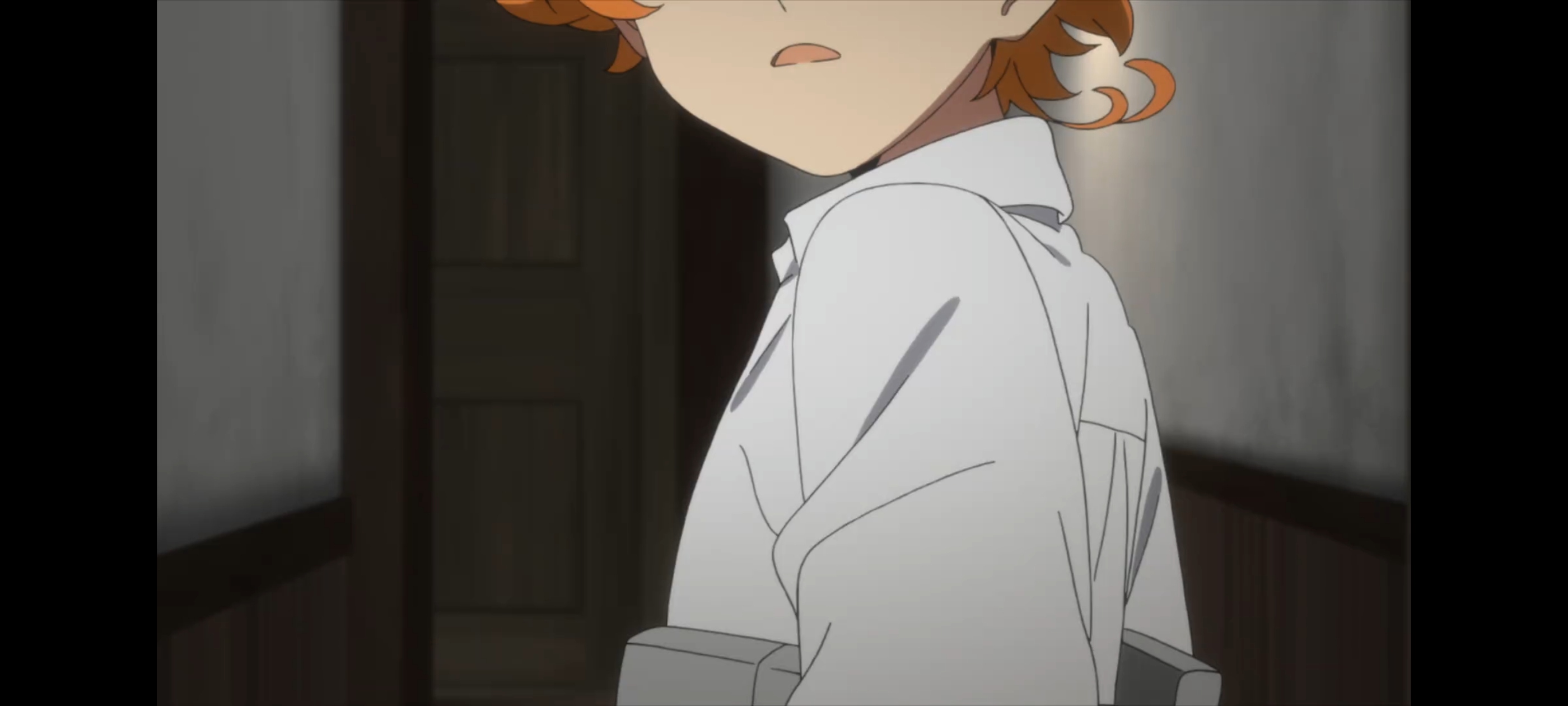 约定的梦幻岛,动画,动漫,番剧,二次元,ACG