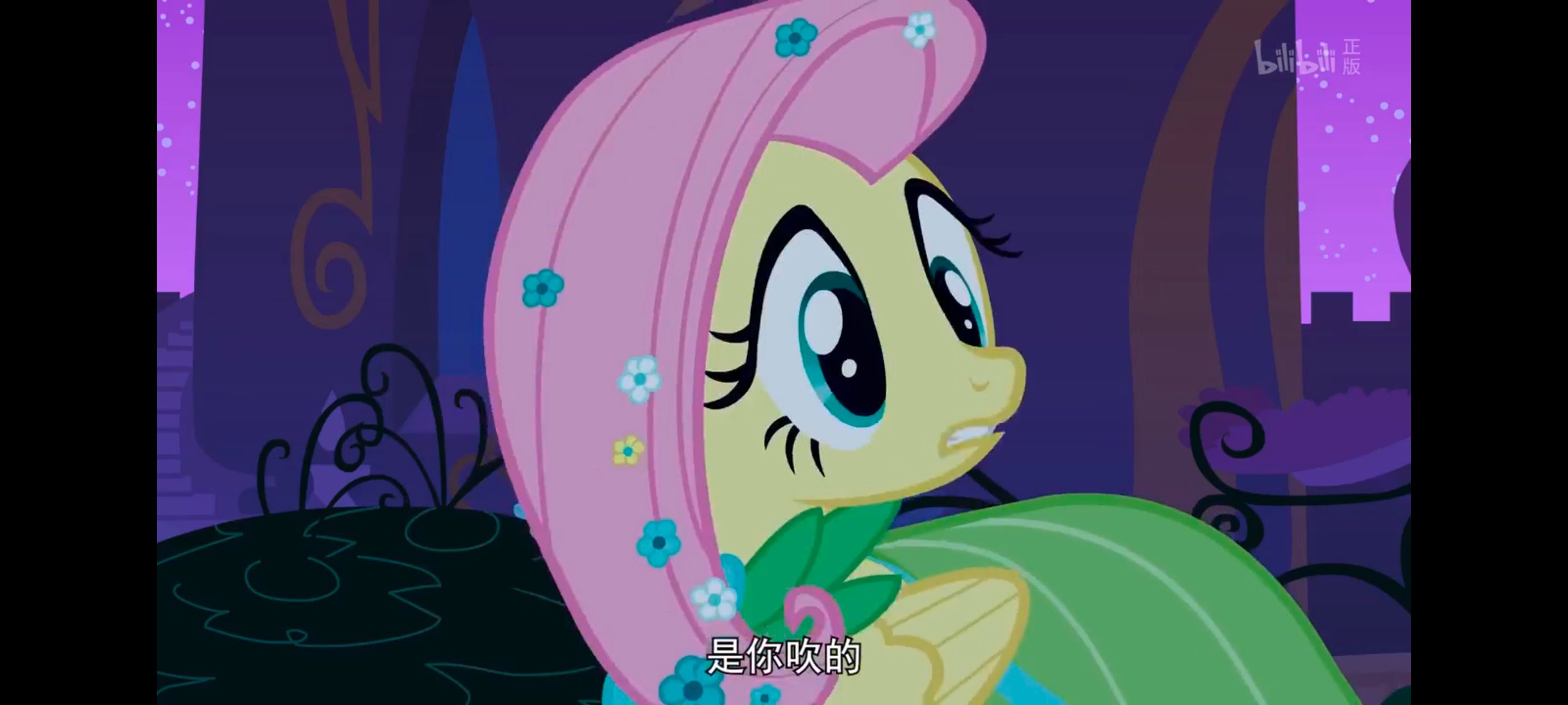 小马宝莉,小马宝莉友谊魔法,彩虹小马,我的小马驹,动画,动漫,番剧,ACG