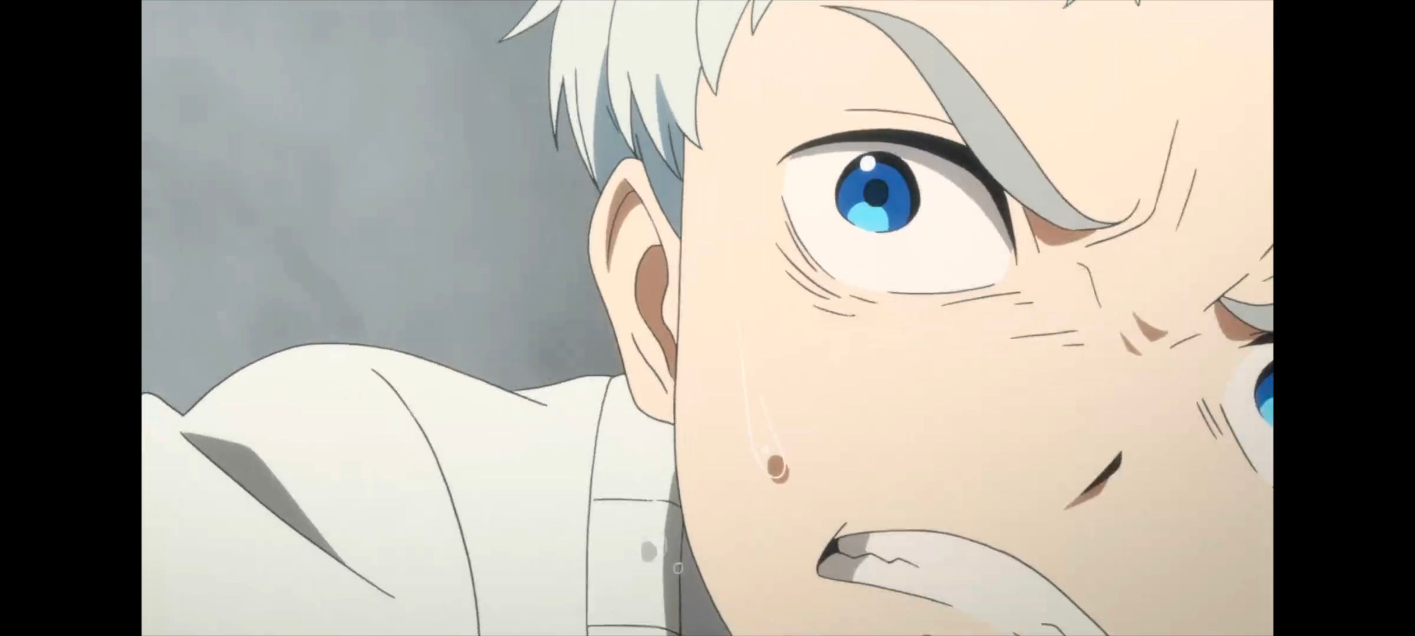 约定的梦幻岛,动画,动漫,番剧,二次元,ACG