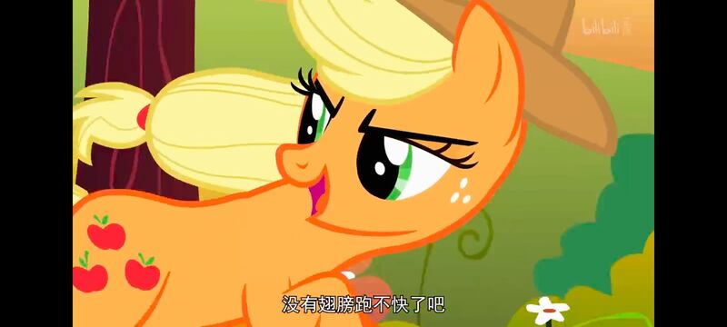 小马宝莉,小马宝莉友谊魔法,彩虹小马,我的小马驹,动画,动漫,番剧,ACG