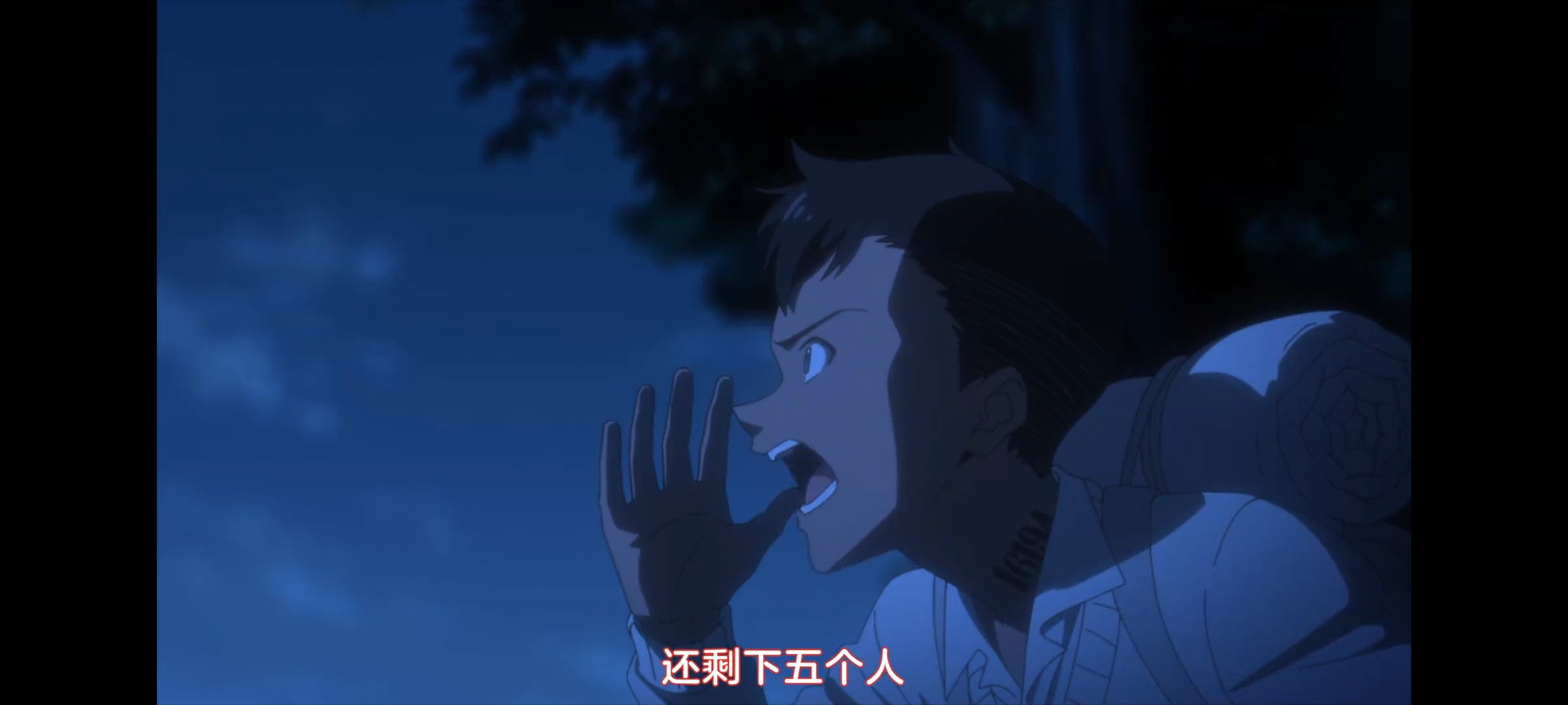 约定的梦幻岛,动画,动漫,番剧,二次元,ACG