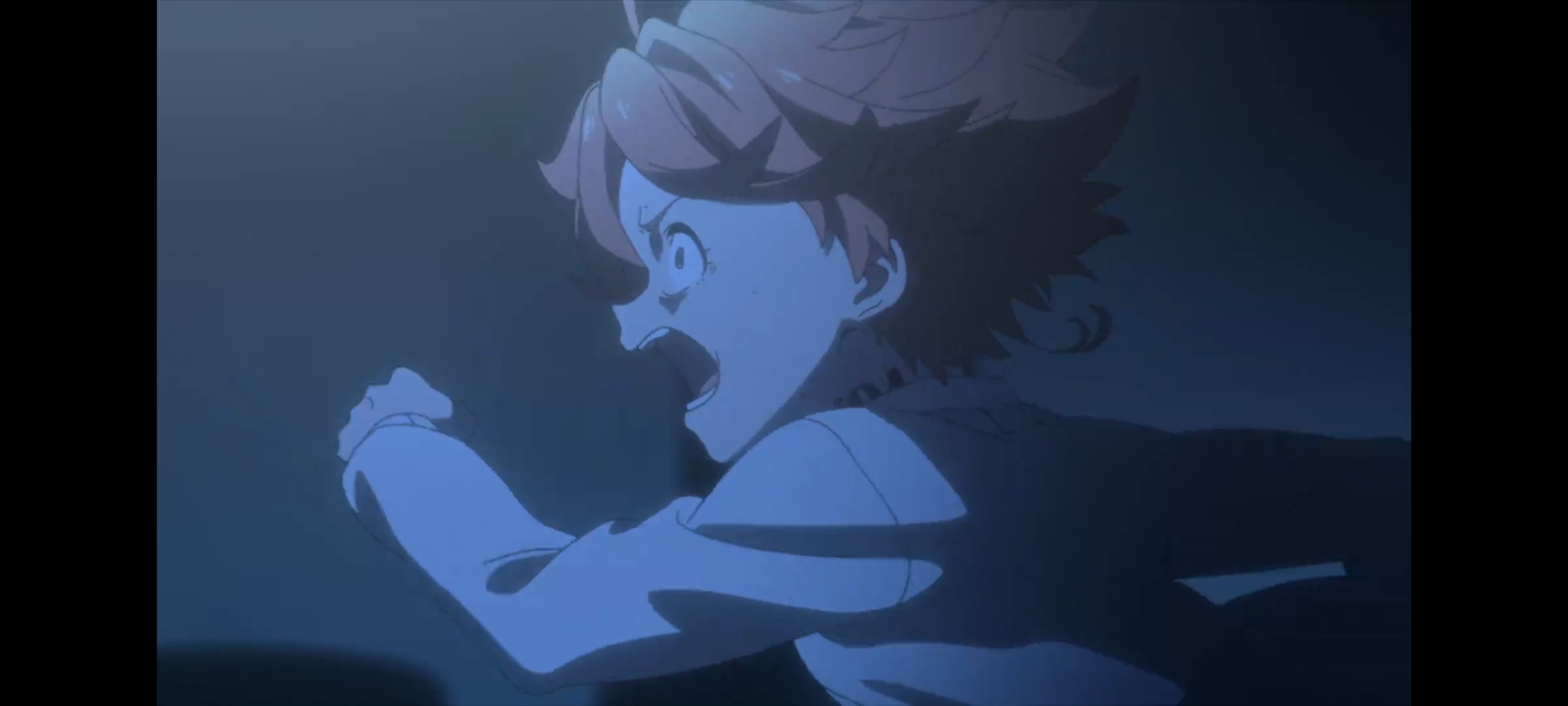 约定的梦幻岛,动画,动漫,番剧,二次元,ACG