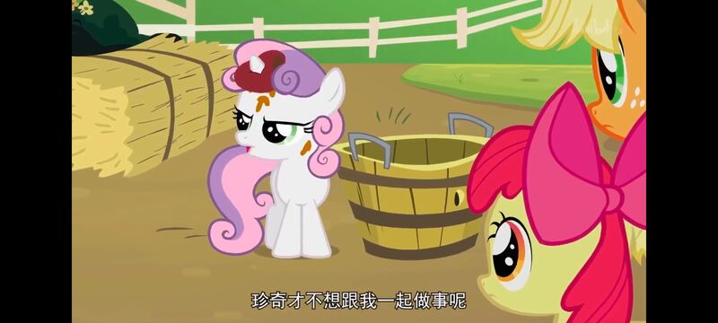 小马宝莉,小马宝莉友谊魔法,彩虹小马,我的小马驹,动画,动漫,番剧,ACG