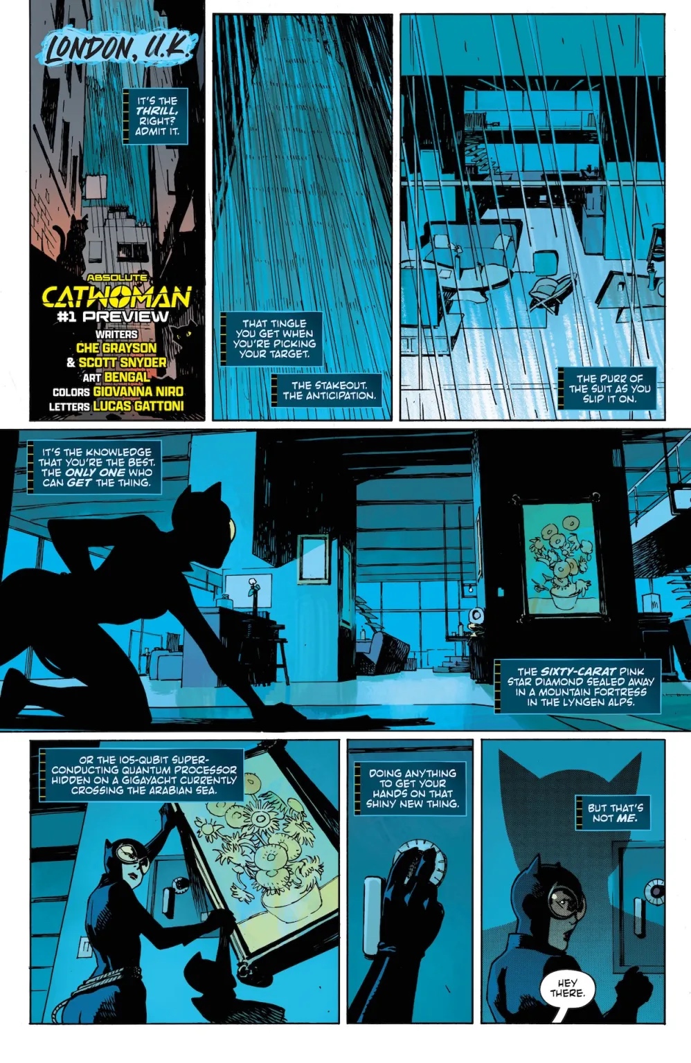 DC,DC漫画,美漫,漫画,动漫,ACG,猫女,绝对宇宙,超级英雄,绘画