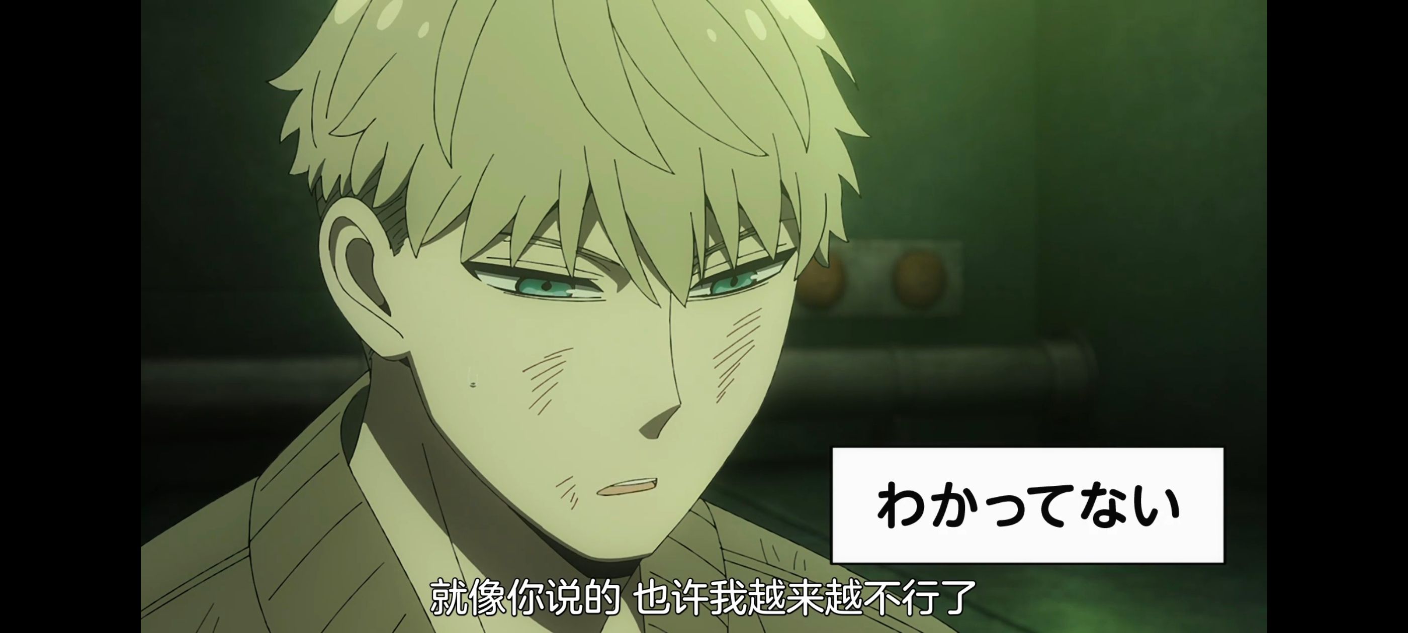 间谍过家家,SPYFAMILY,动画,动漫,番剧,ACG