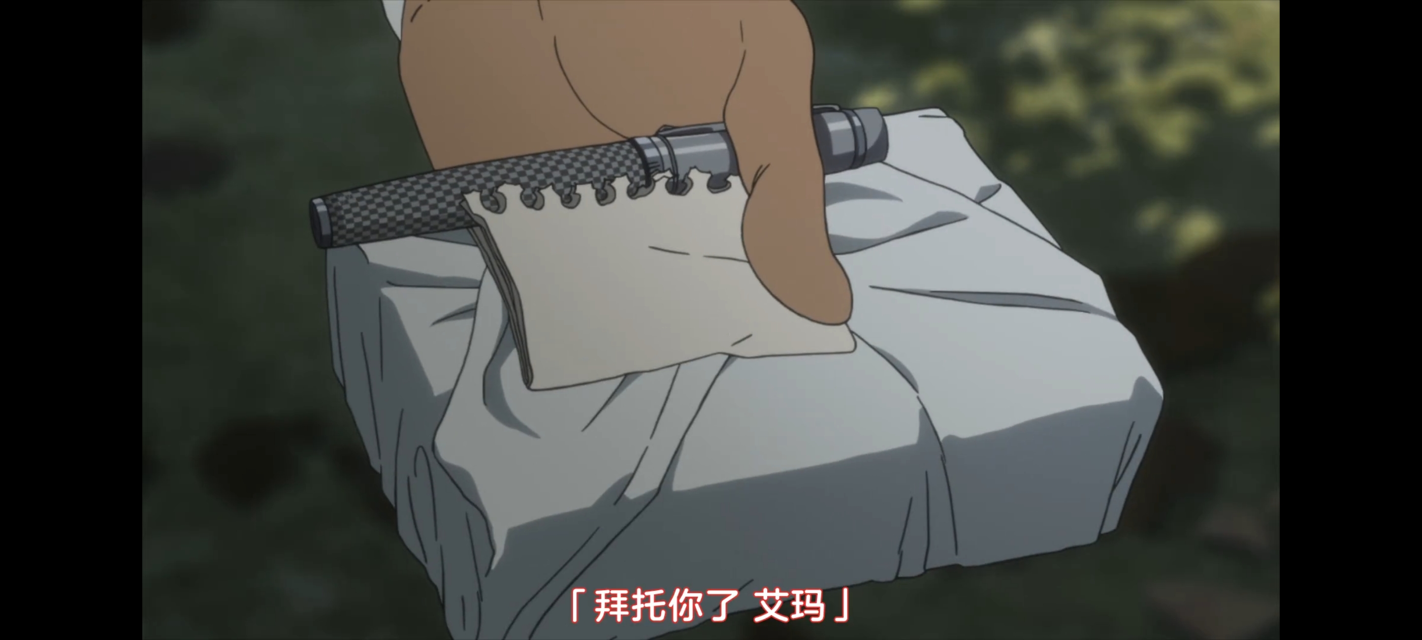 约定的梦幻岛,动画,动漫,番剧,二次元,ACG