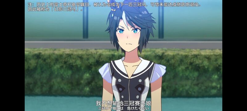 赛马娘,赛马娘PrettyDreby,动画,动漫,番剧,ACG