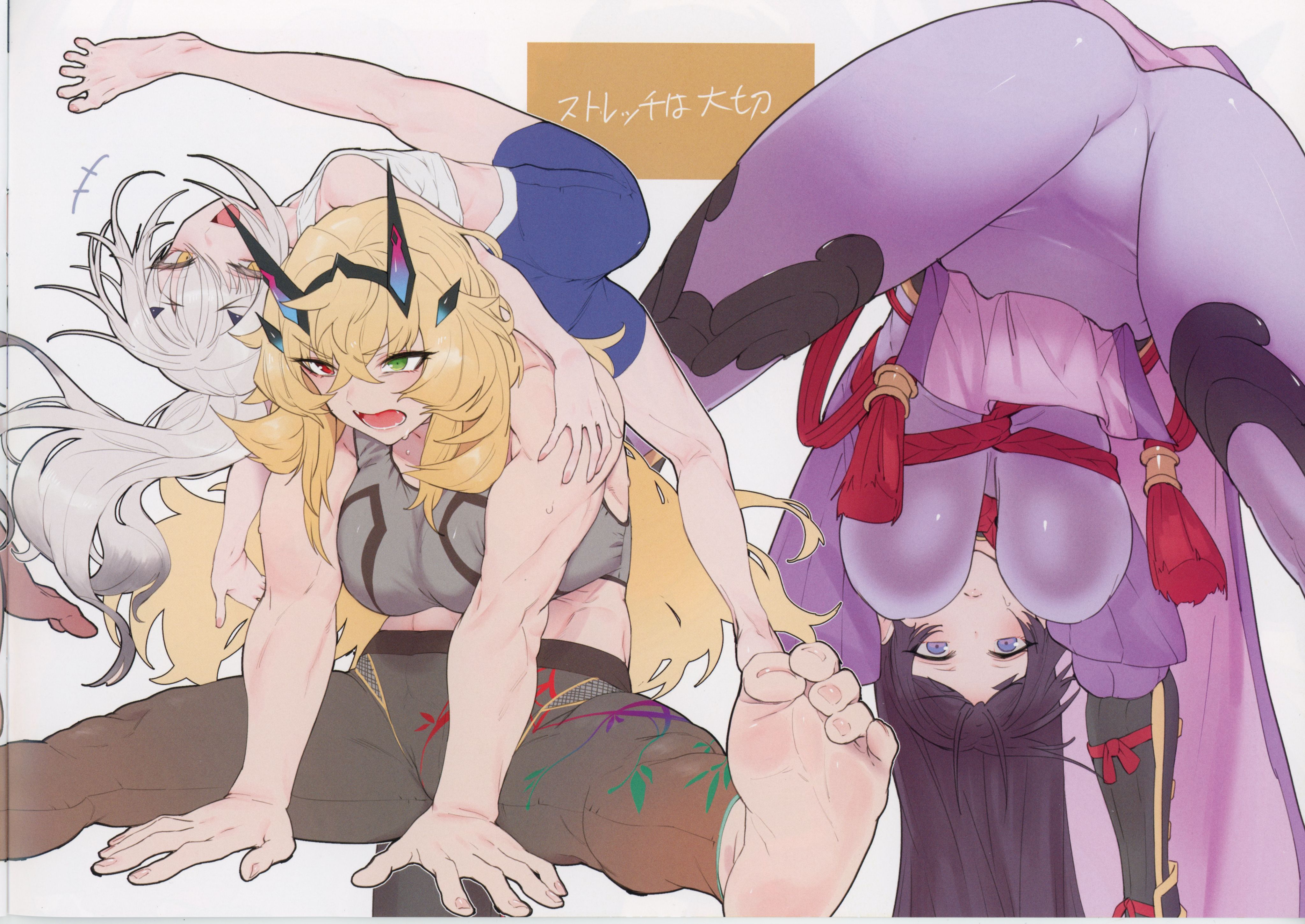 鳥茶丸,FGO,足控,Fate