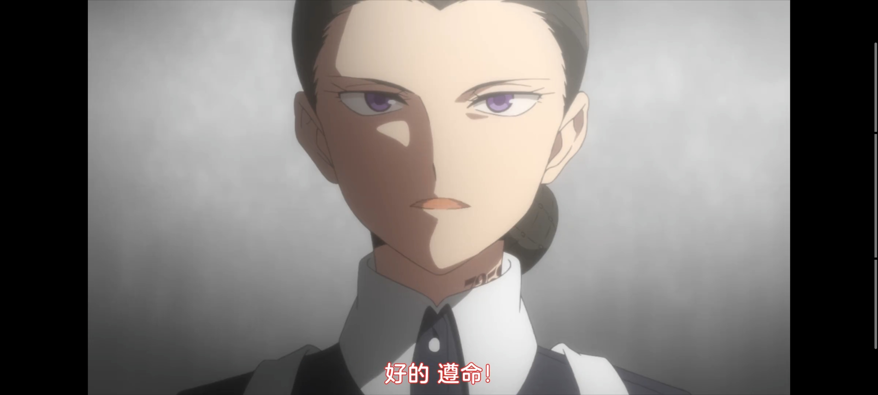 约定的梦幻岛,动画,动漫,番剧,二次元,ACG